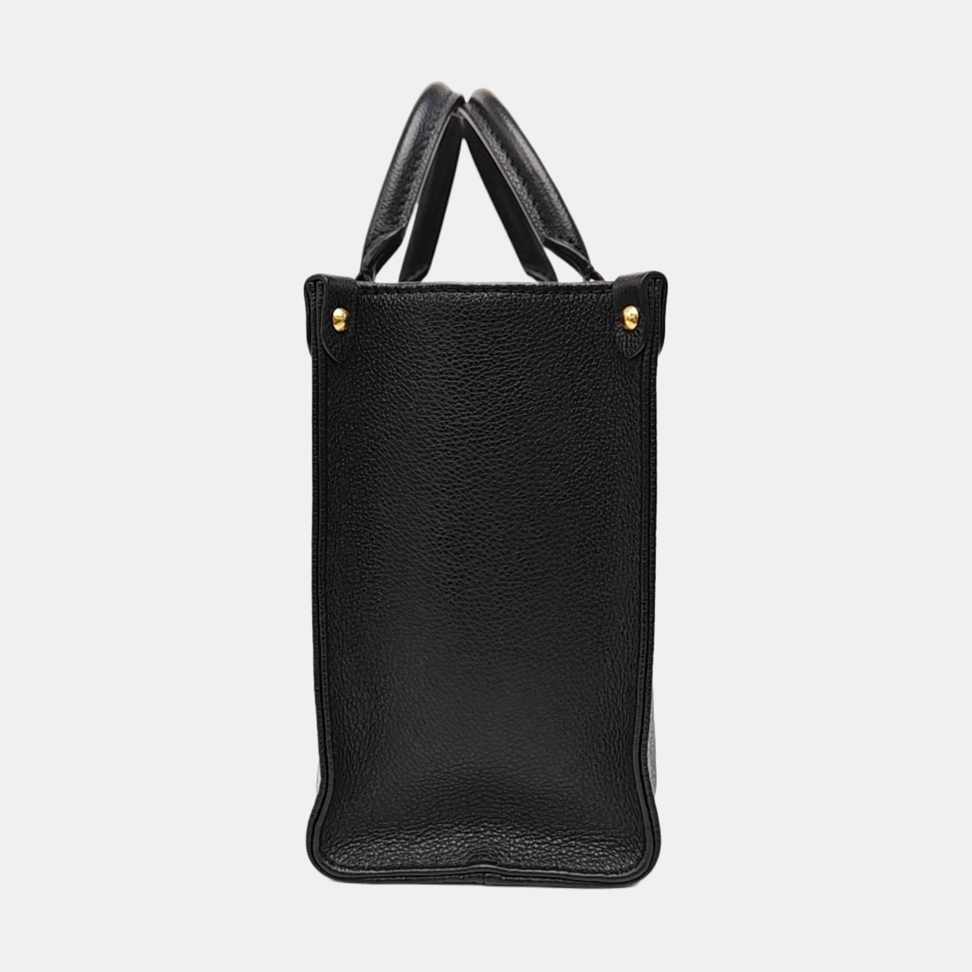 ONTHEGO PM Calfskin Black