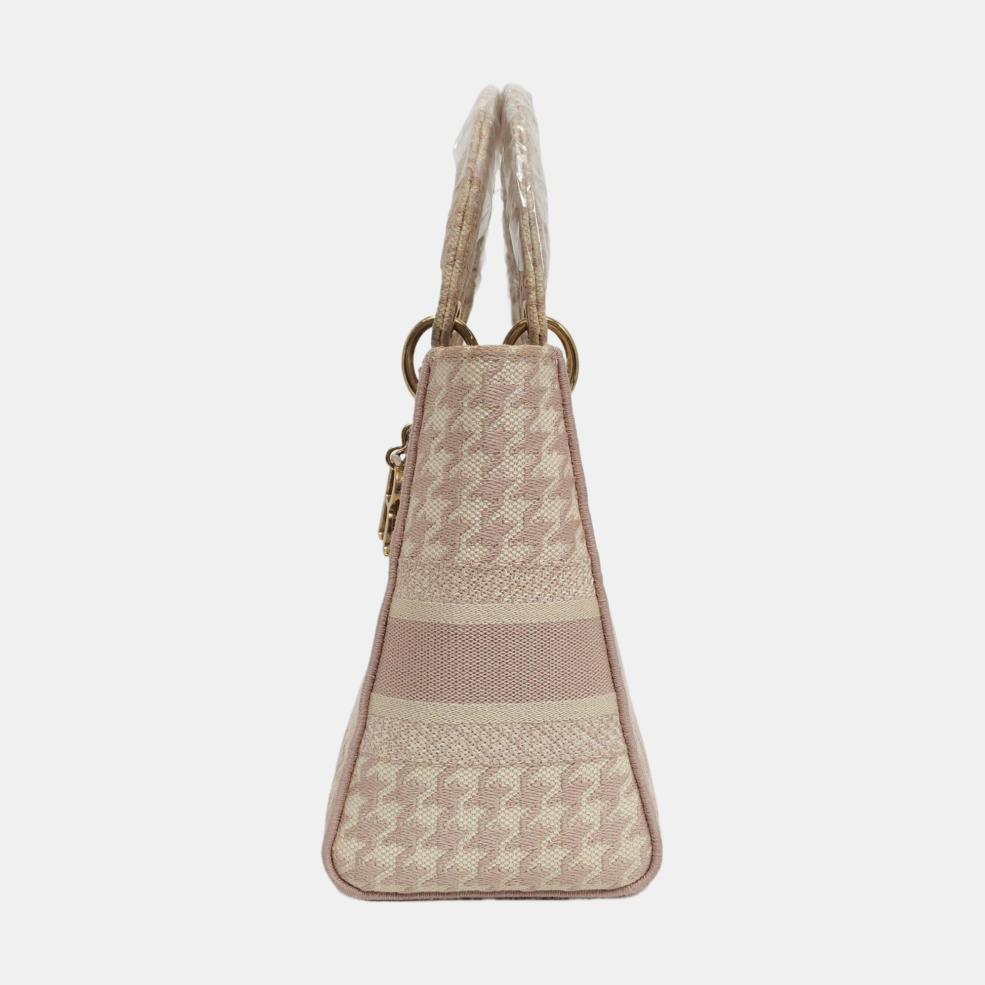 Authenticated pre-owned  Lady D-Lite Medium Fabric Multicolor - Tote Bag at Looply