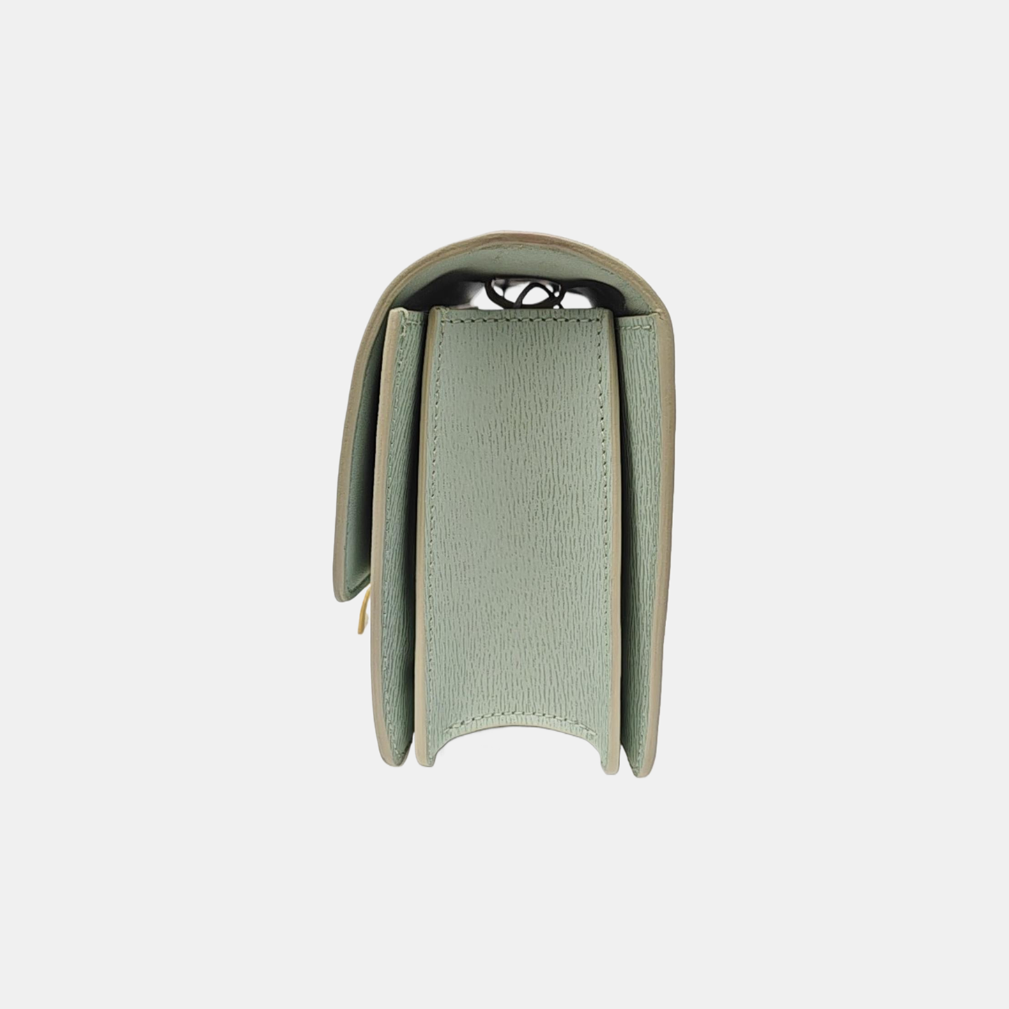 CLASSIC BOX Mini Calfskin Green