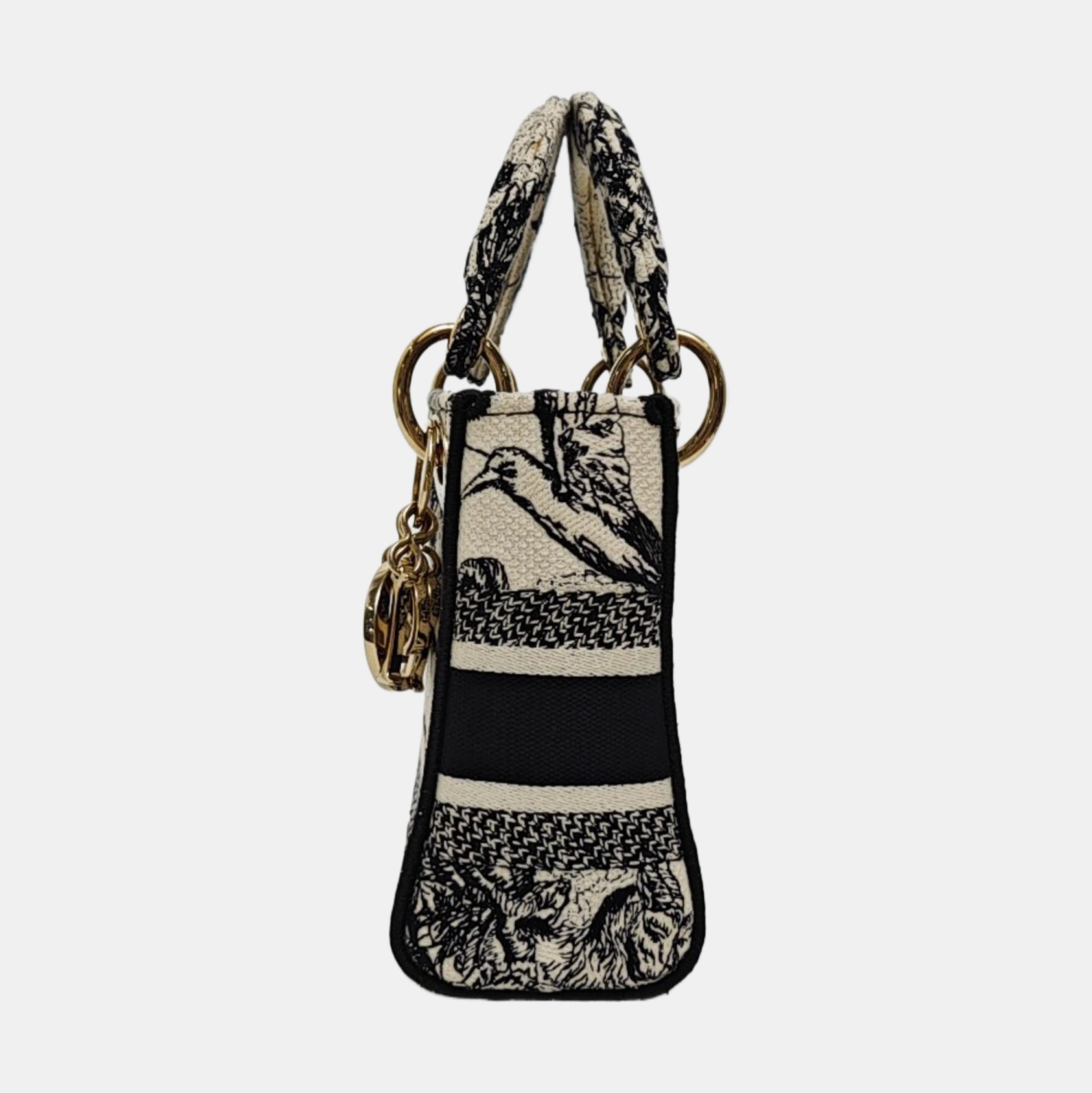 Lady Dior Mini Lona Multicolor