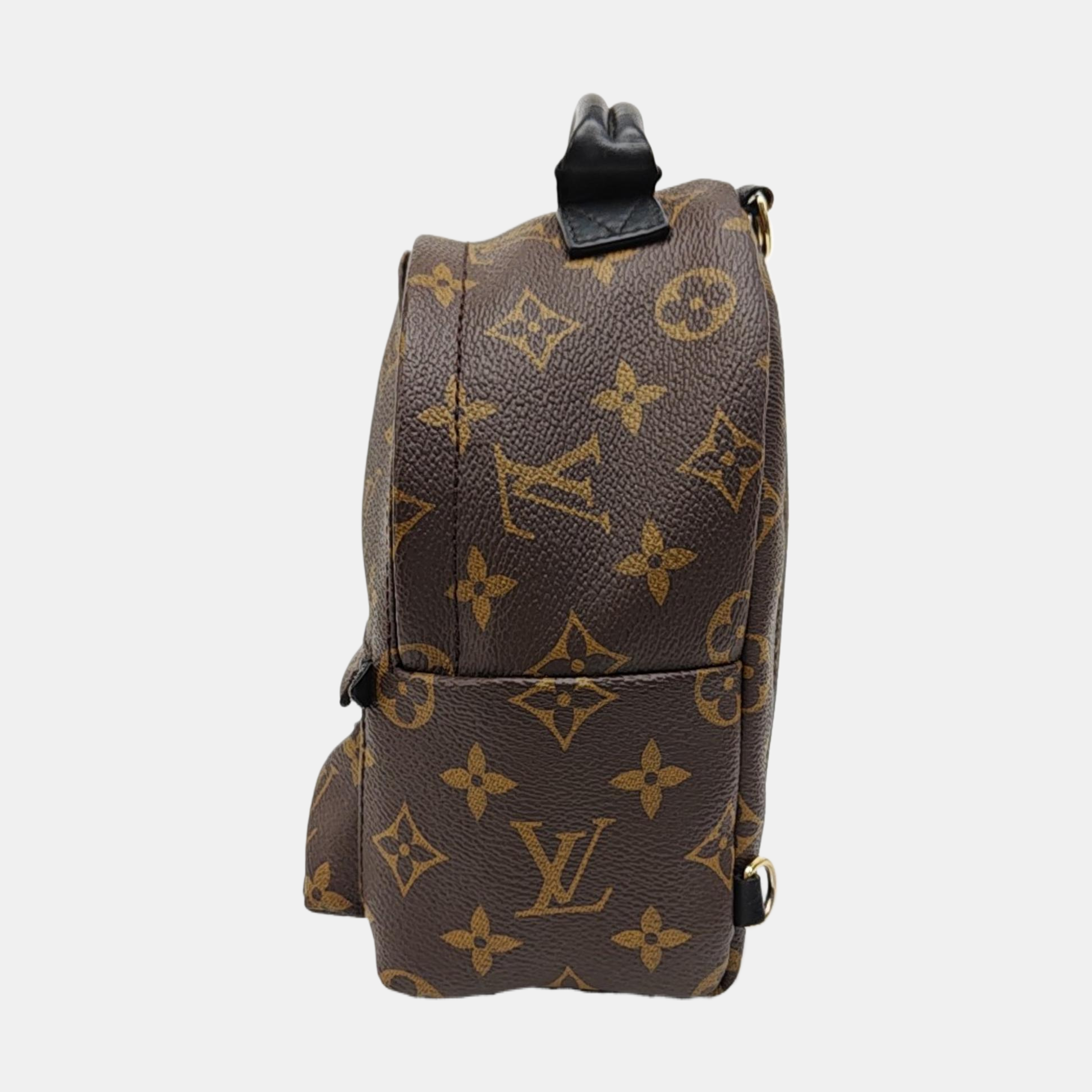 PALM SPRINGS Mini Monogram Coated Canvas Brown