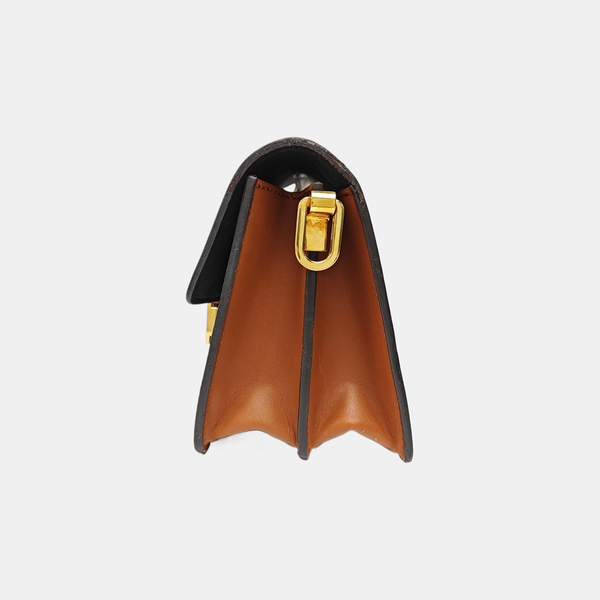DAUPHINE Mini Monogram Coated Canvas Brown