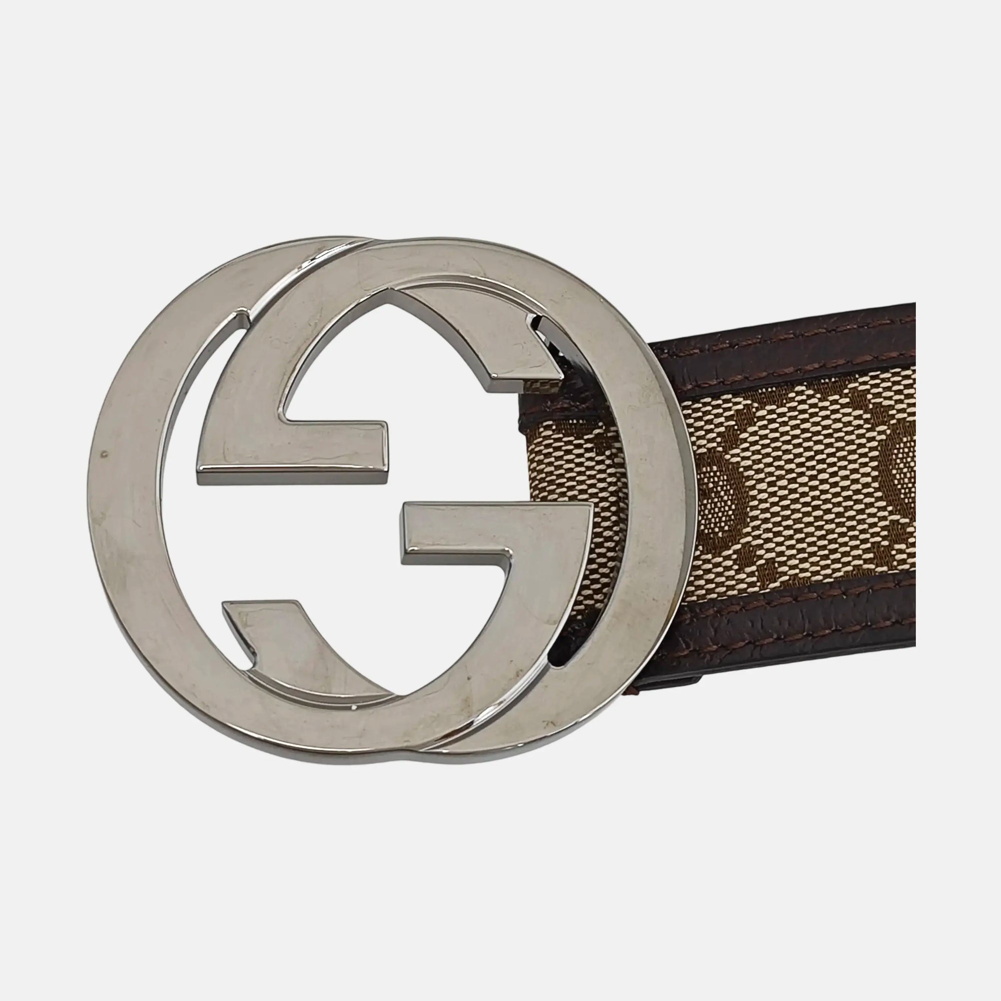 Coated Canvas Belt Beige