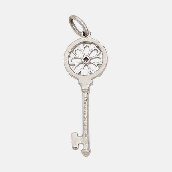 Platinum 950 Silver Jewelry Set