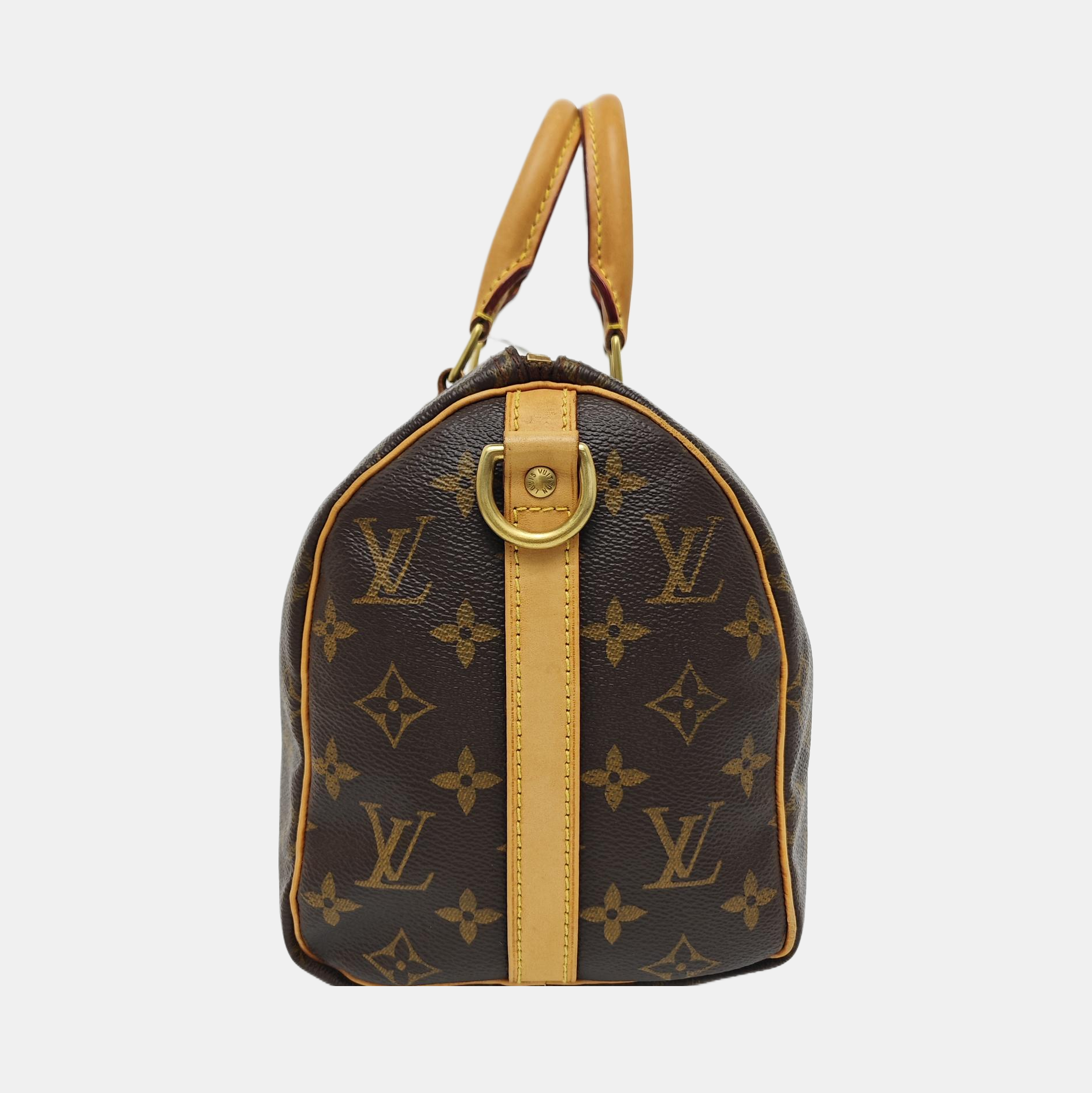 SPEEDY 25 Monogram Coated Canvas Brown