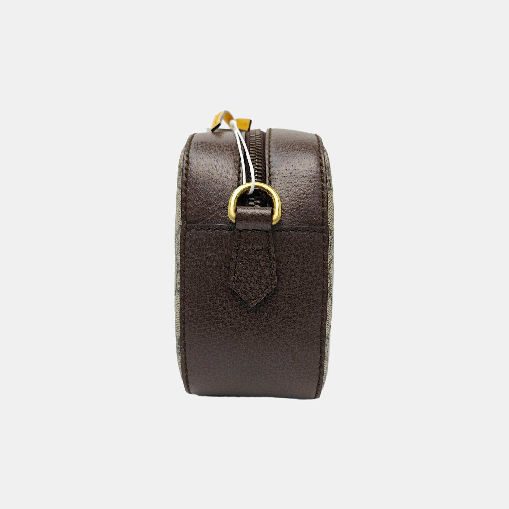 Neo Vintage Monogram Coated Canvas Beige