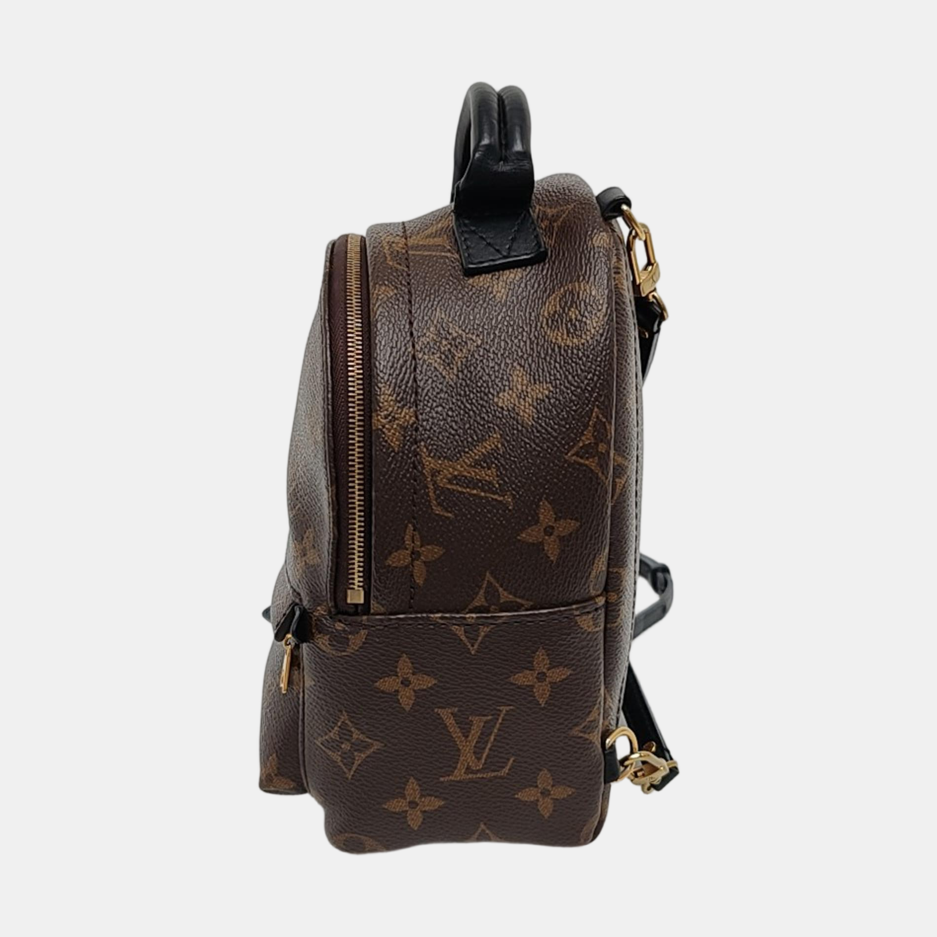 PALM SPRINGS Mini Monogram Coated Canvas Brown
