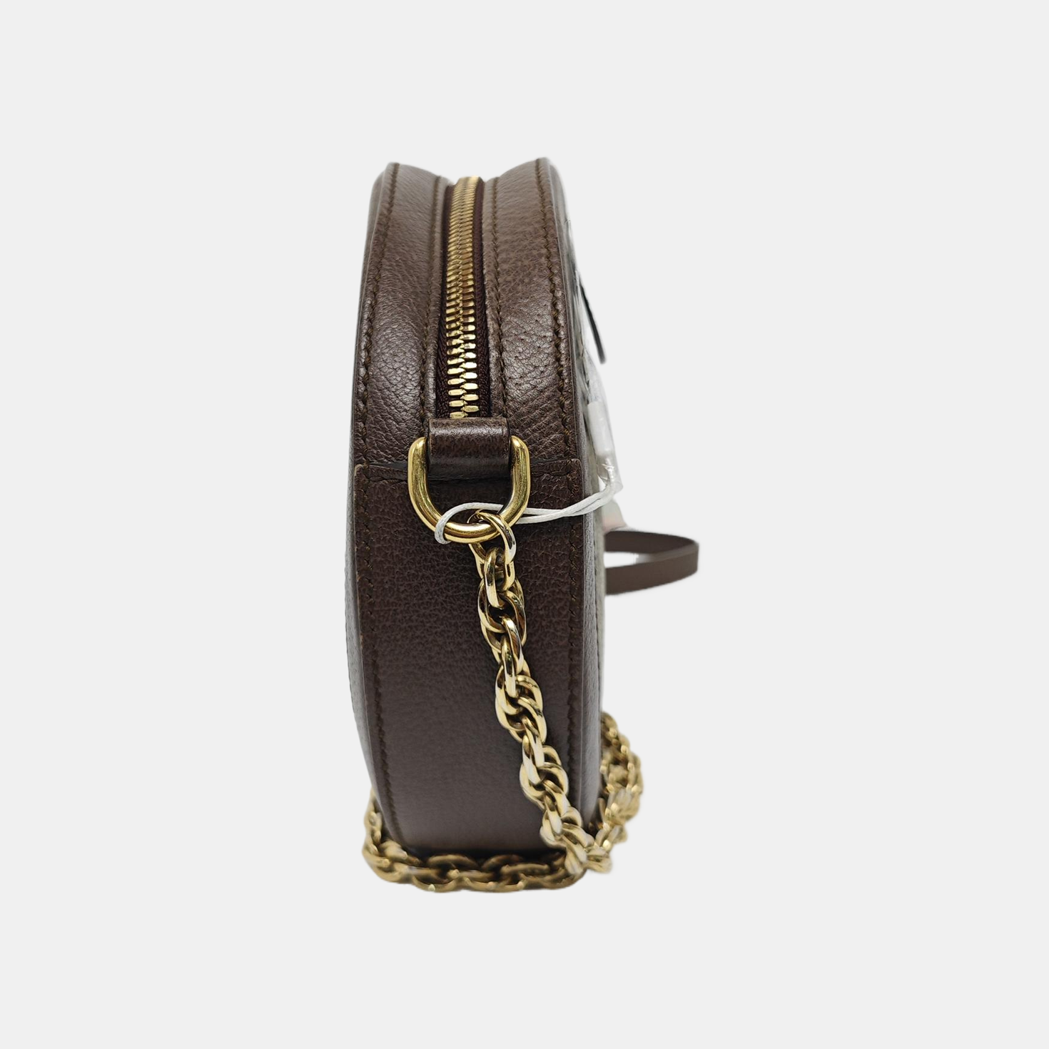 Ophidia Mini Monogram Coated Canvas Beige