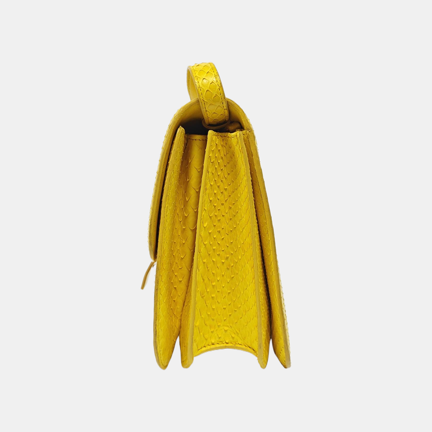 CLASSIC BOX Medium Python Yellow