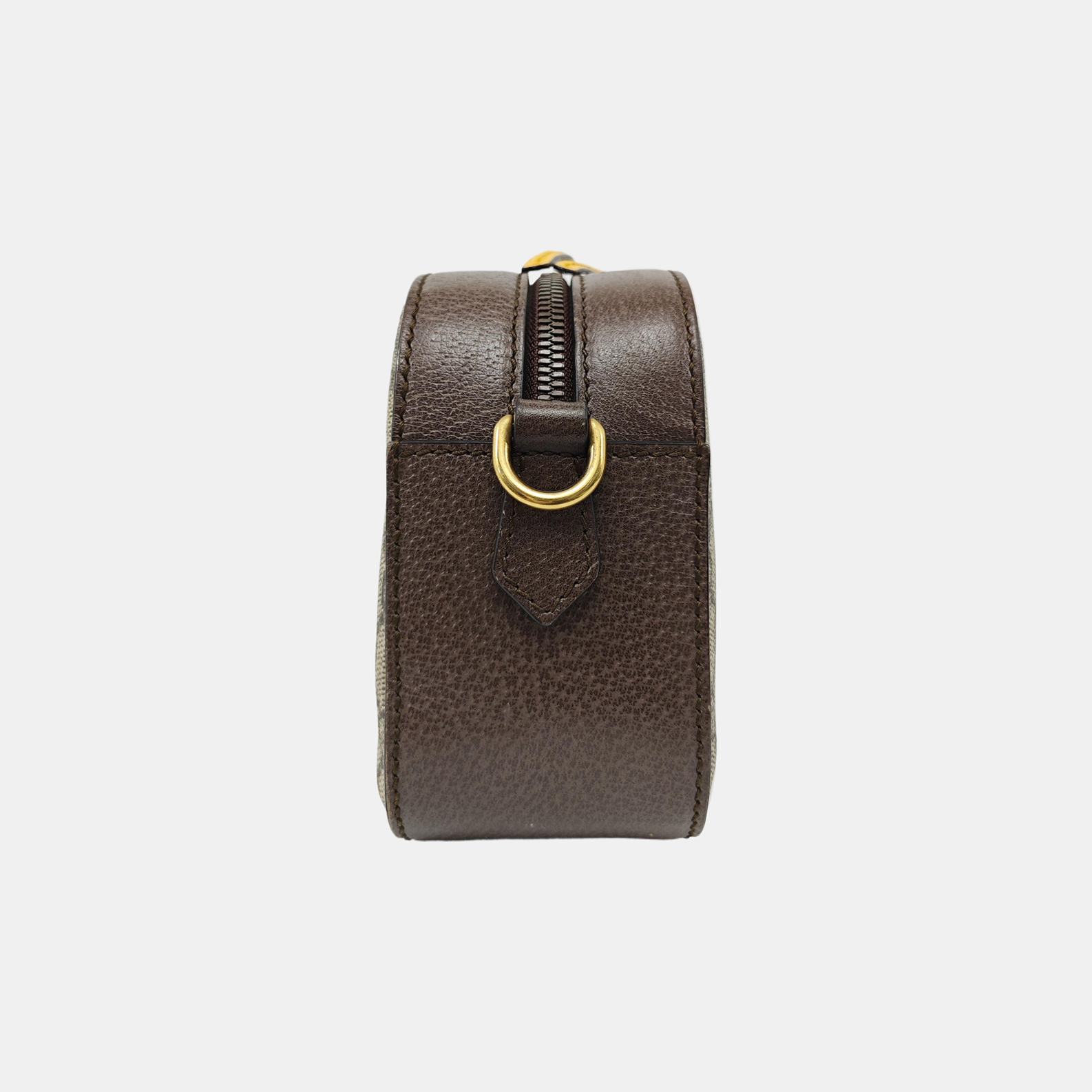 Neo Vintage Monogram Coated Canvas Beige
