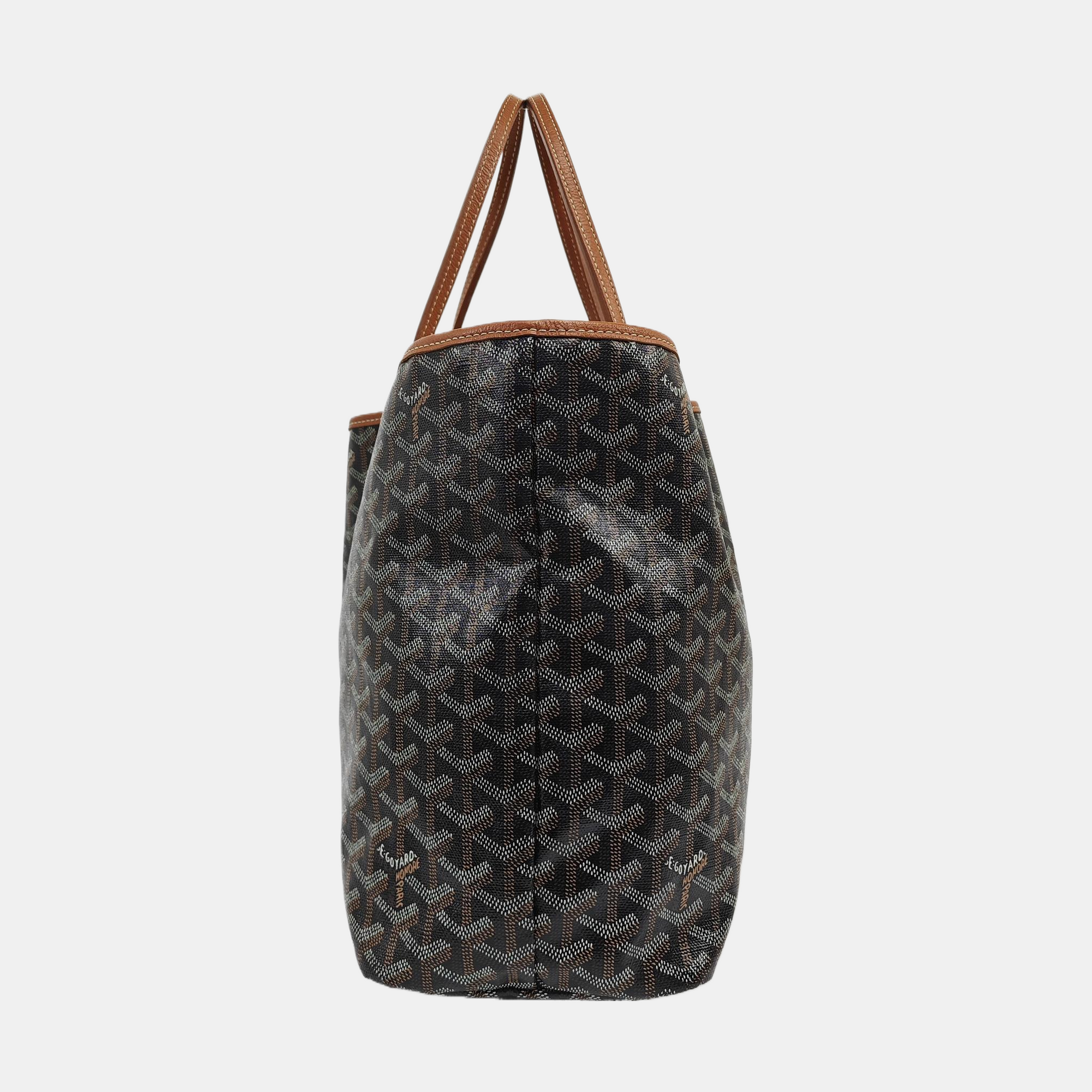 Saint Louis PM Coated Canvas Black
