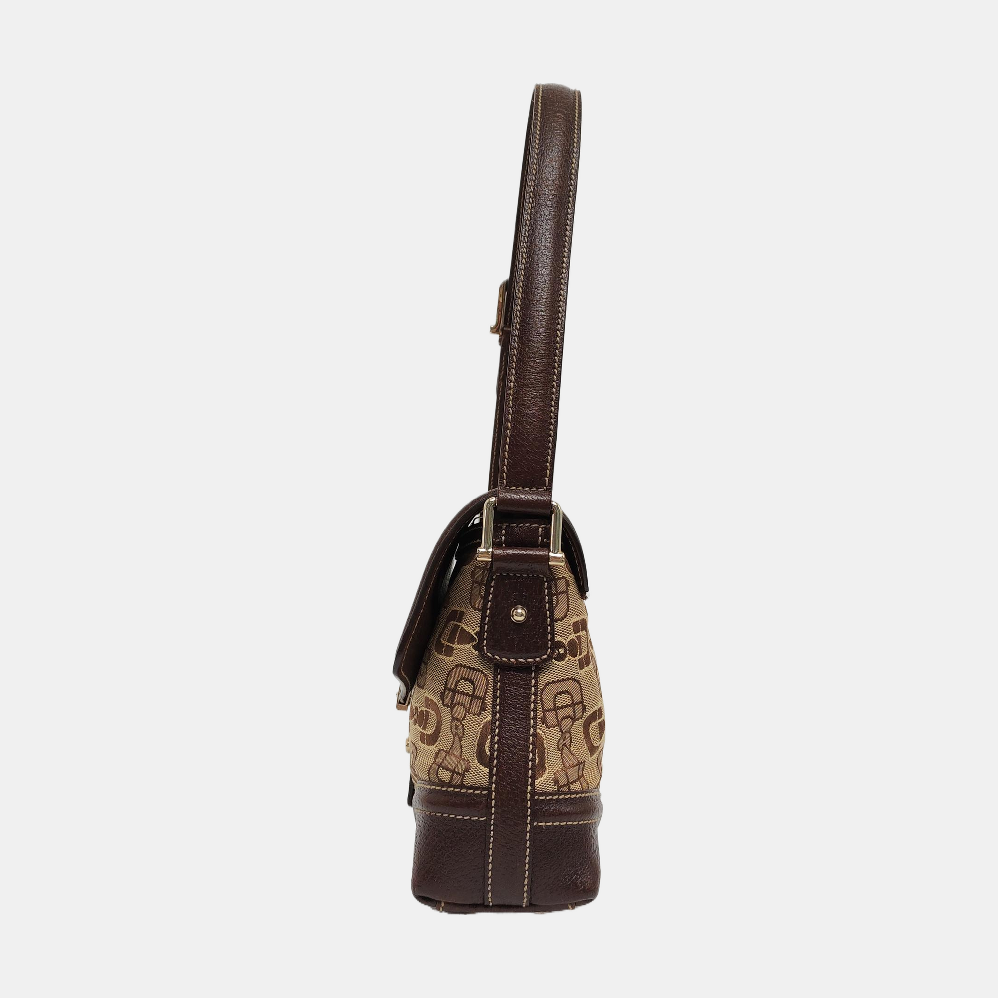 Treasure Canvas Brown