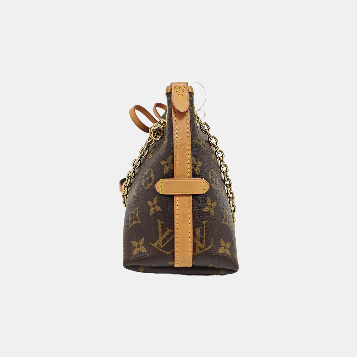 CARRYALL BB Monogram Coated Canvas Brown
