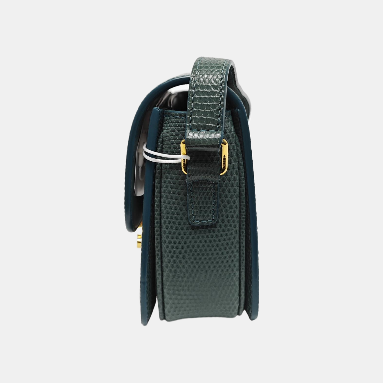 TRIOMPHE Small Lizard Green