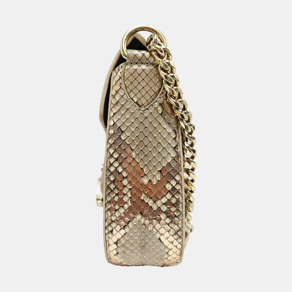 DIVAS' DREAM Python Multicolor