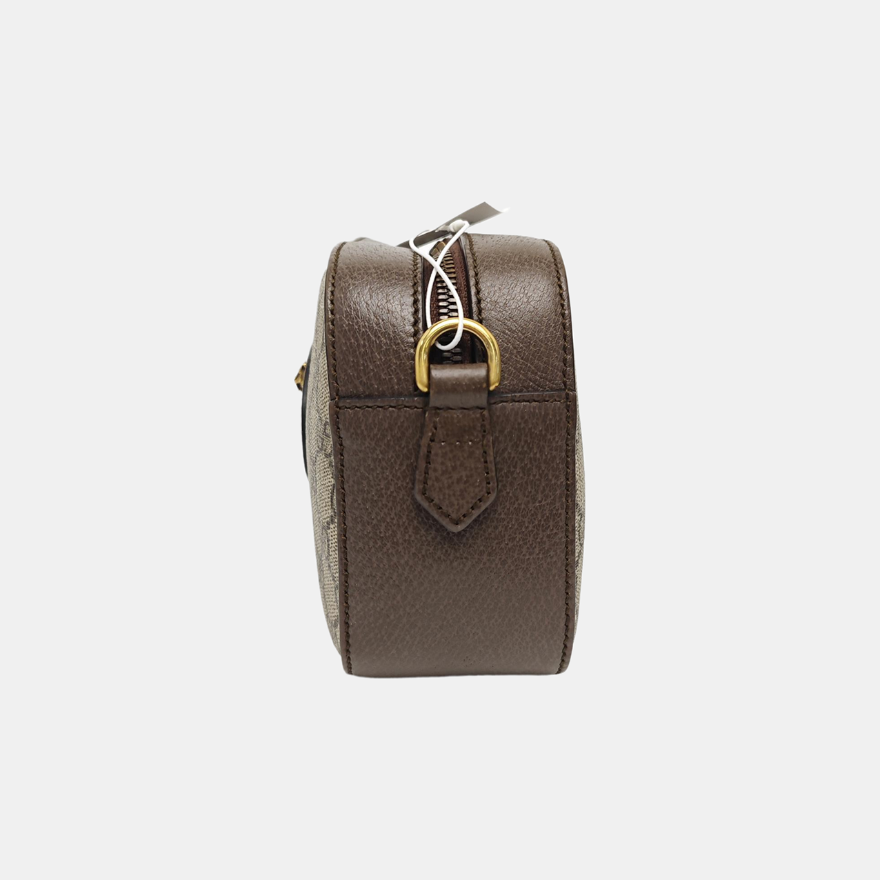 Neo Vintage Monogram Coated Canvas Beige