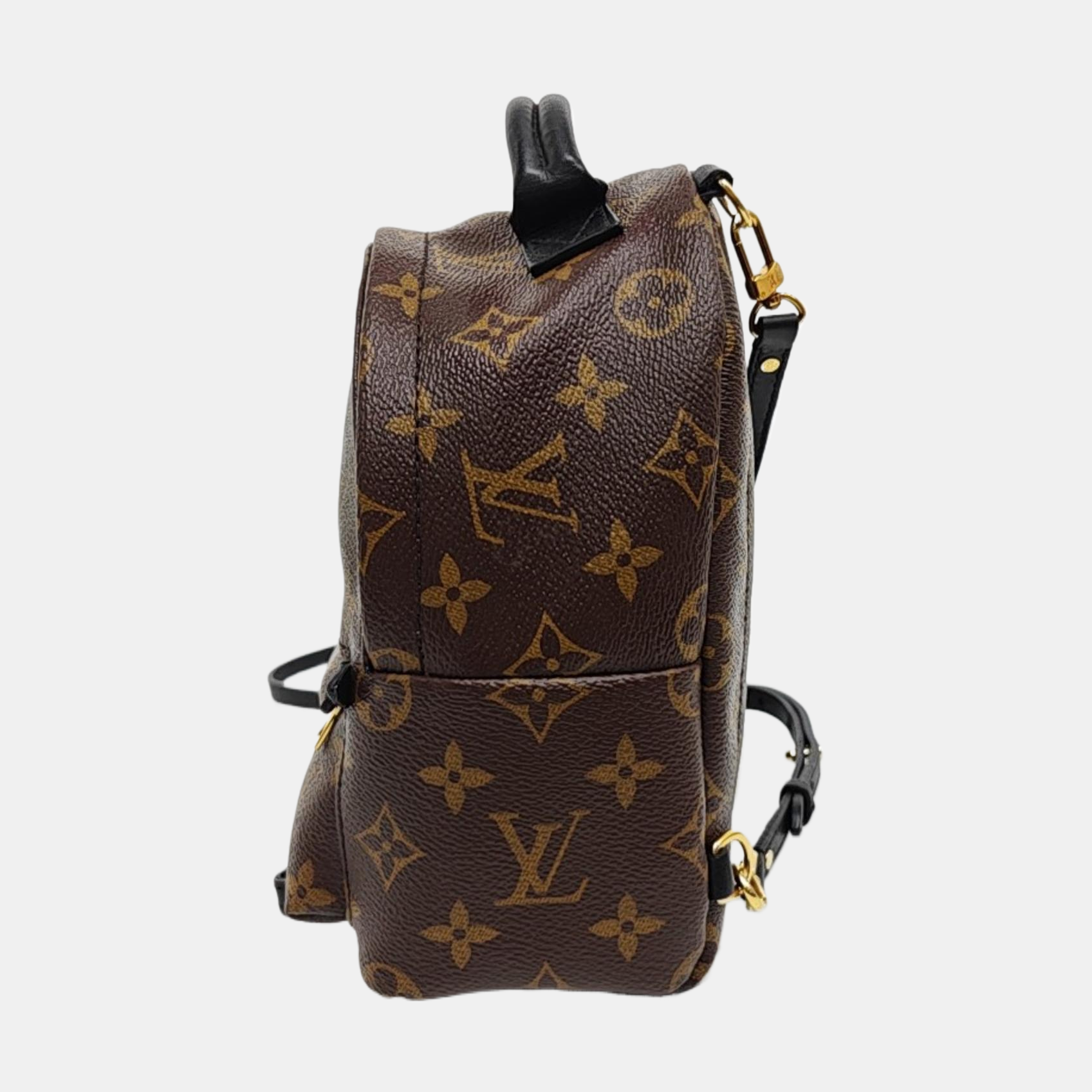 PALM SPRINGS Mini Monogram Coated Canvas Brown