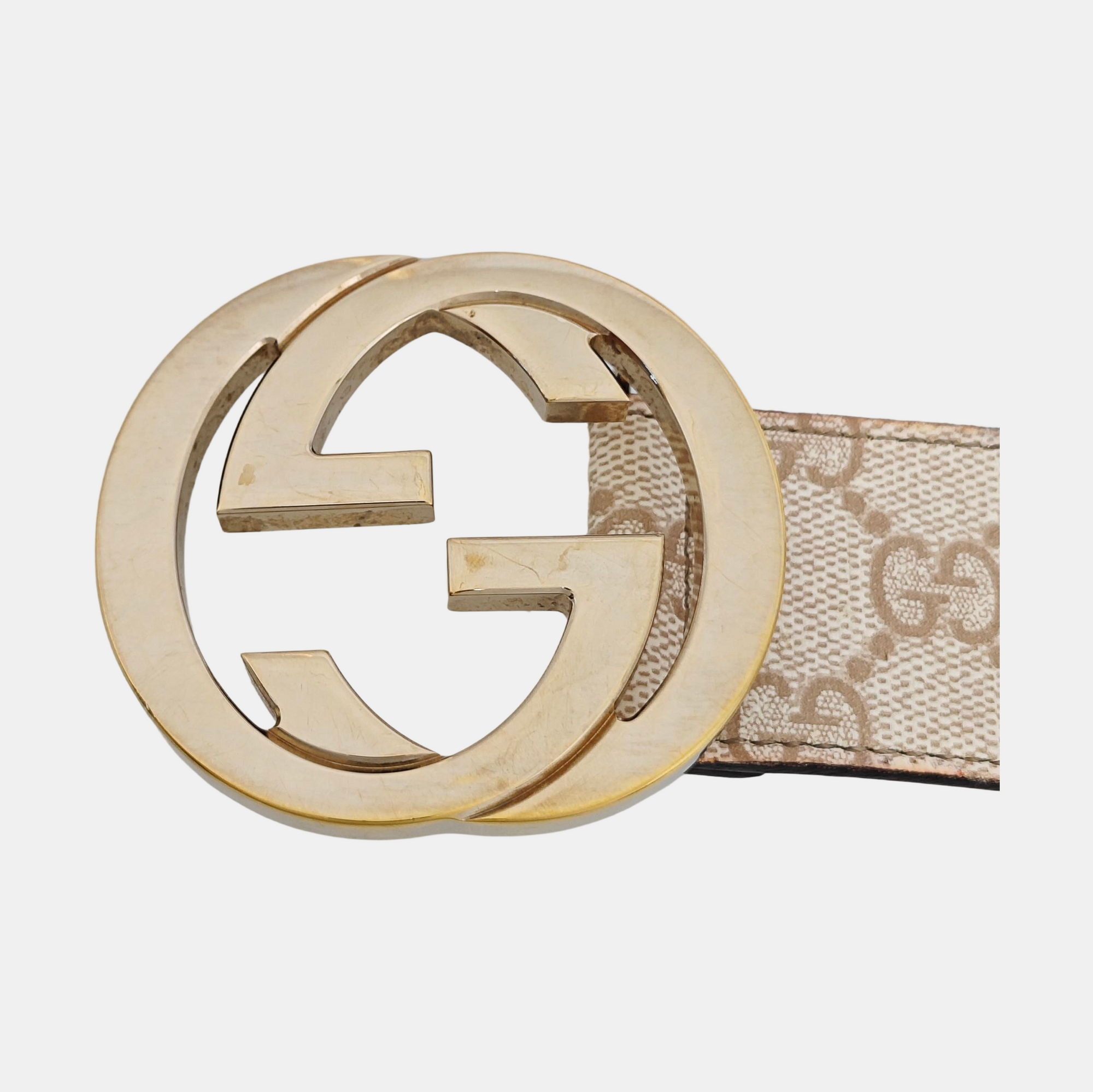 Coated Canvas Belt Beige
