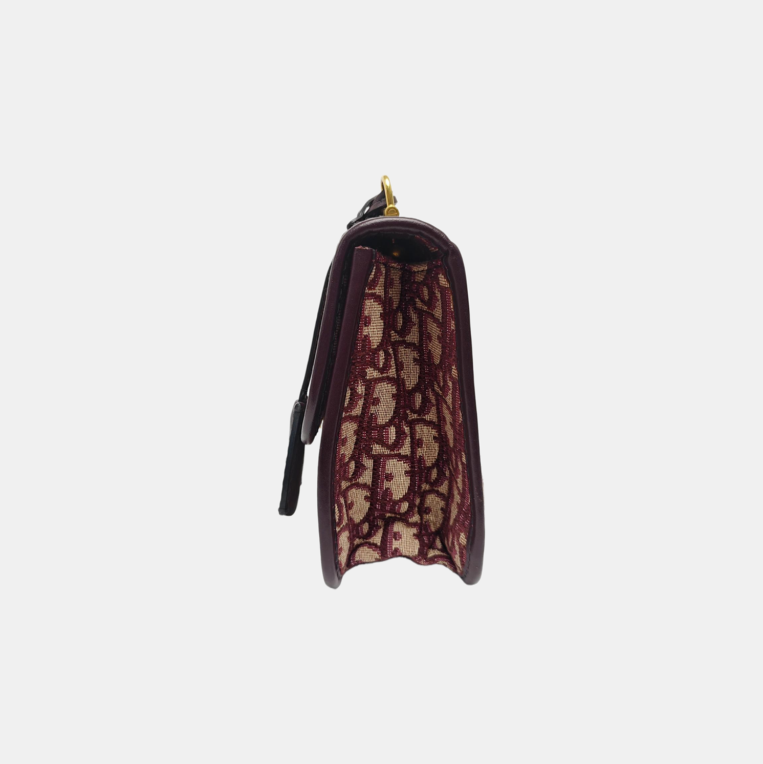 Dioraddict Oblique Canvas Red