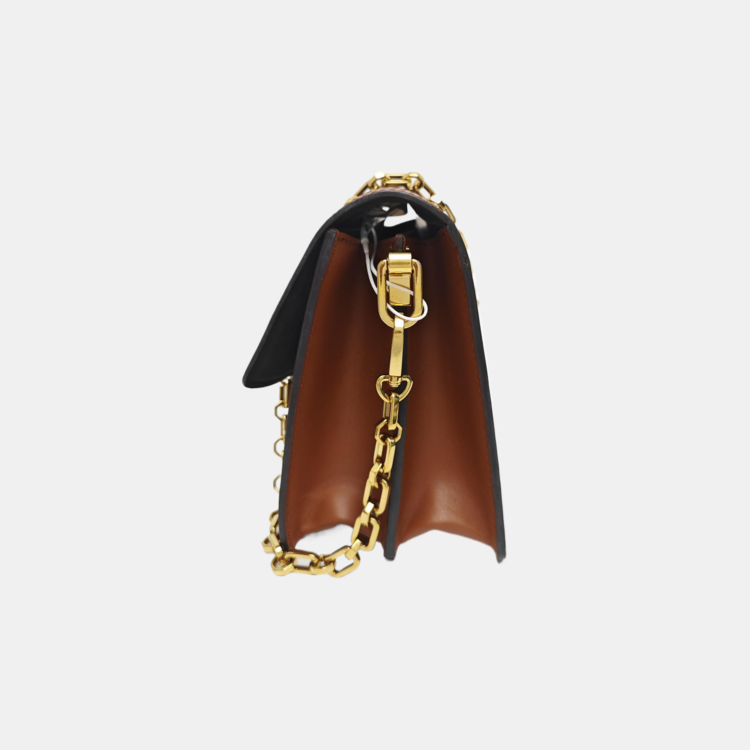 DAUPHINE MM Monogram Coated Canvas Brown