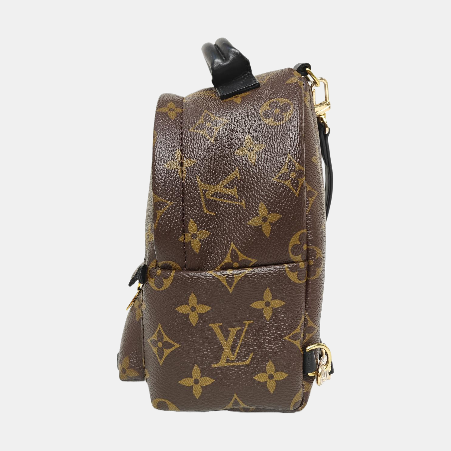 PALM SPRINGS Mini Monogram Coated Canvas Brown