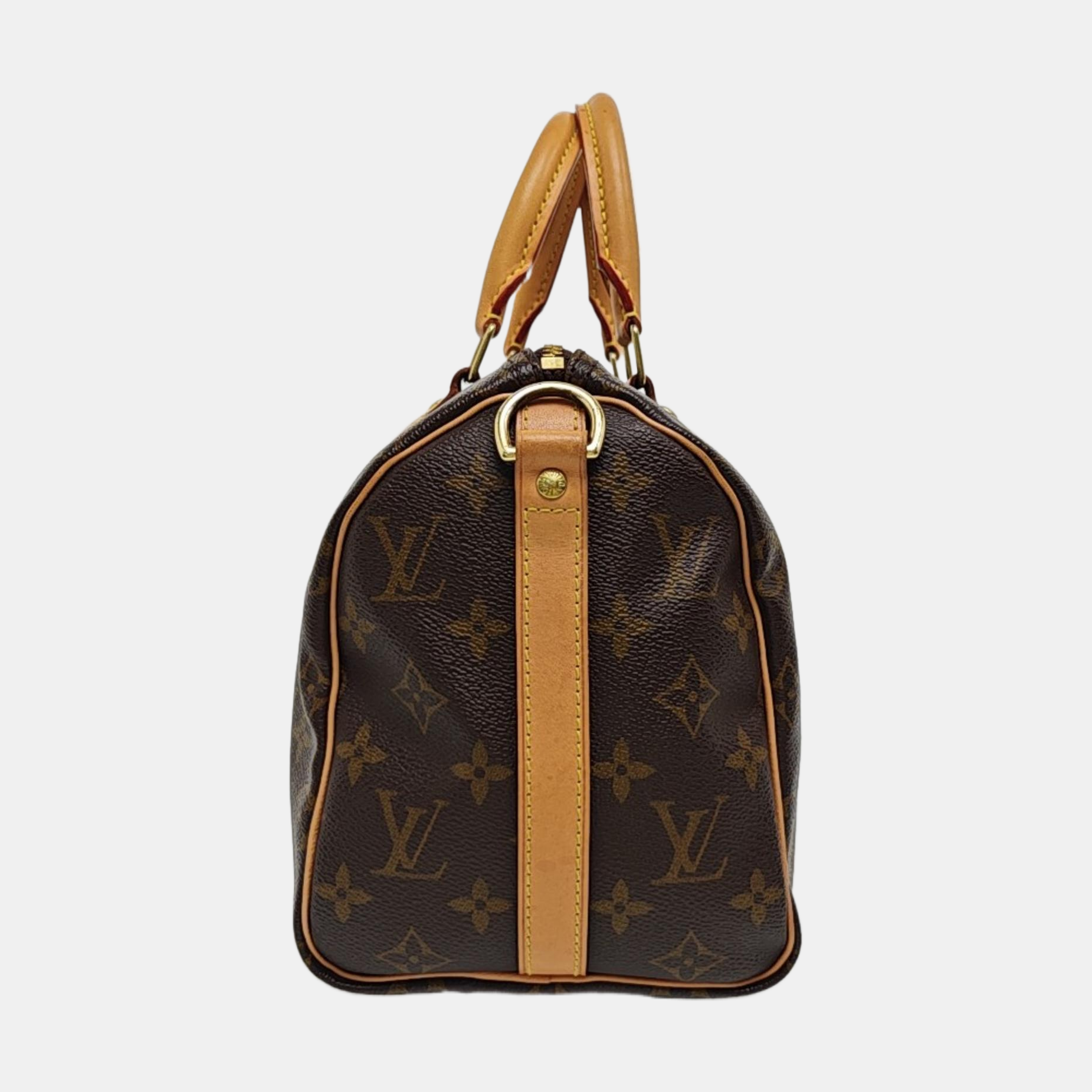SPEEDY 25 Monogram Coated Canvas Brown