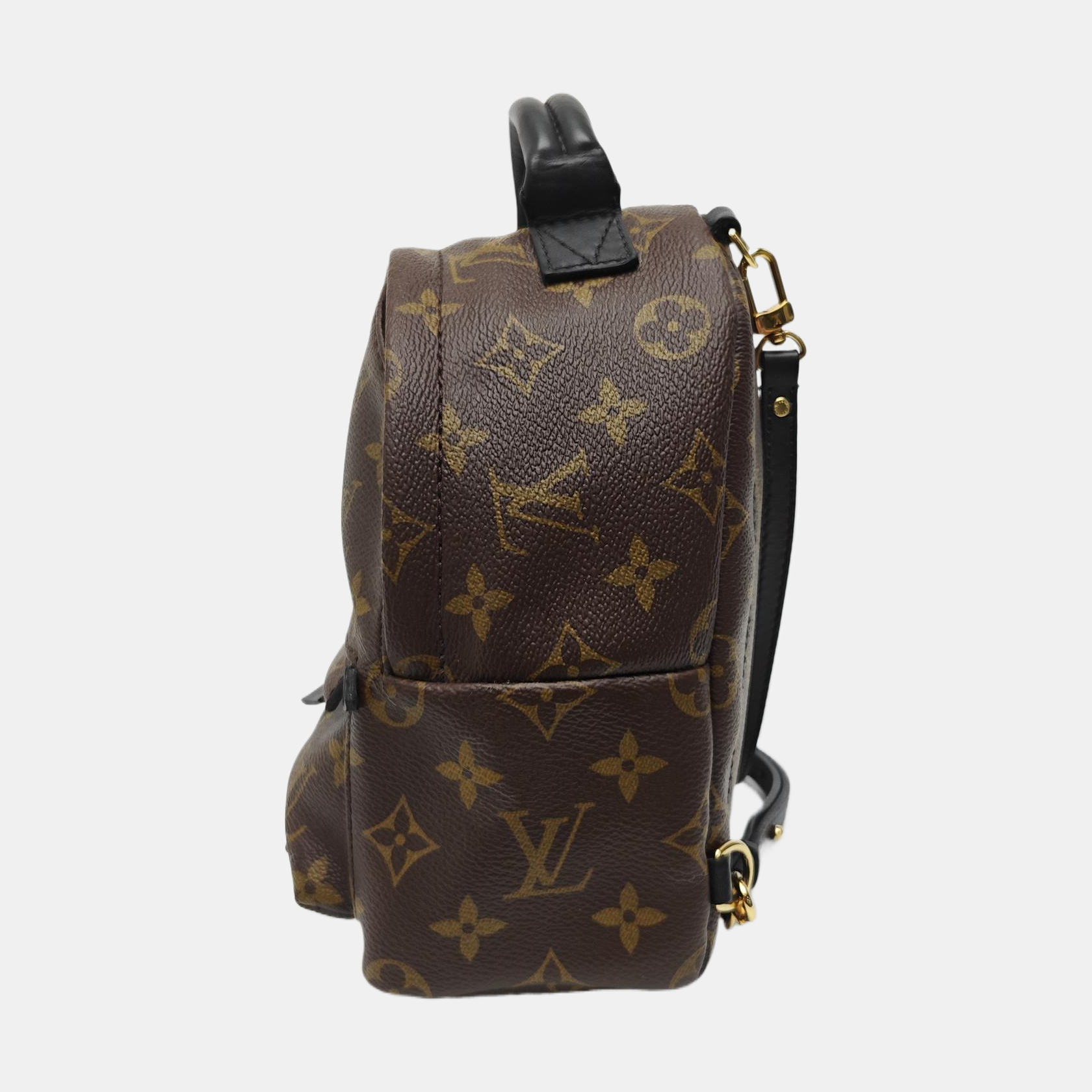PALM SPRINGS Mini Monogram Coated Canvas Brown