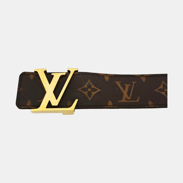 Coated Canvas Belt Brown
