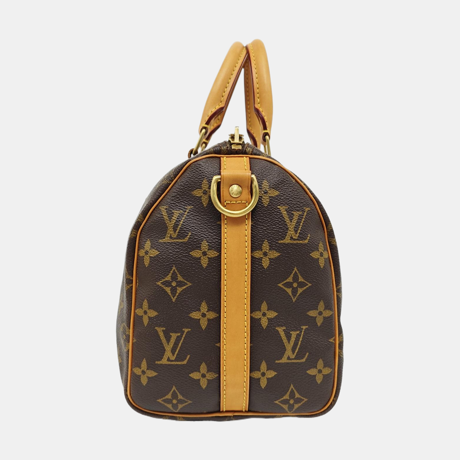 SPEEDY 25 Monogram Coated Canvas Brown
