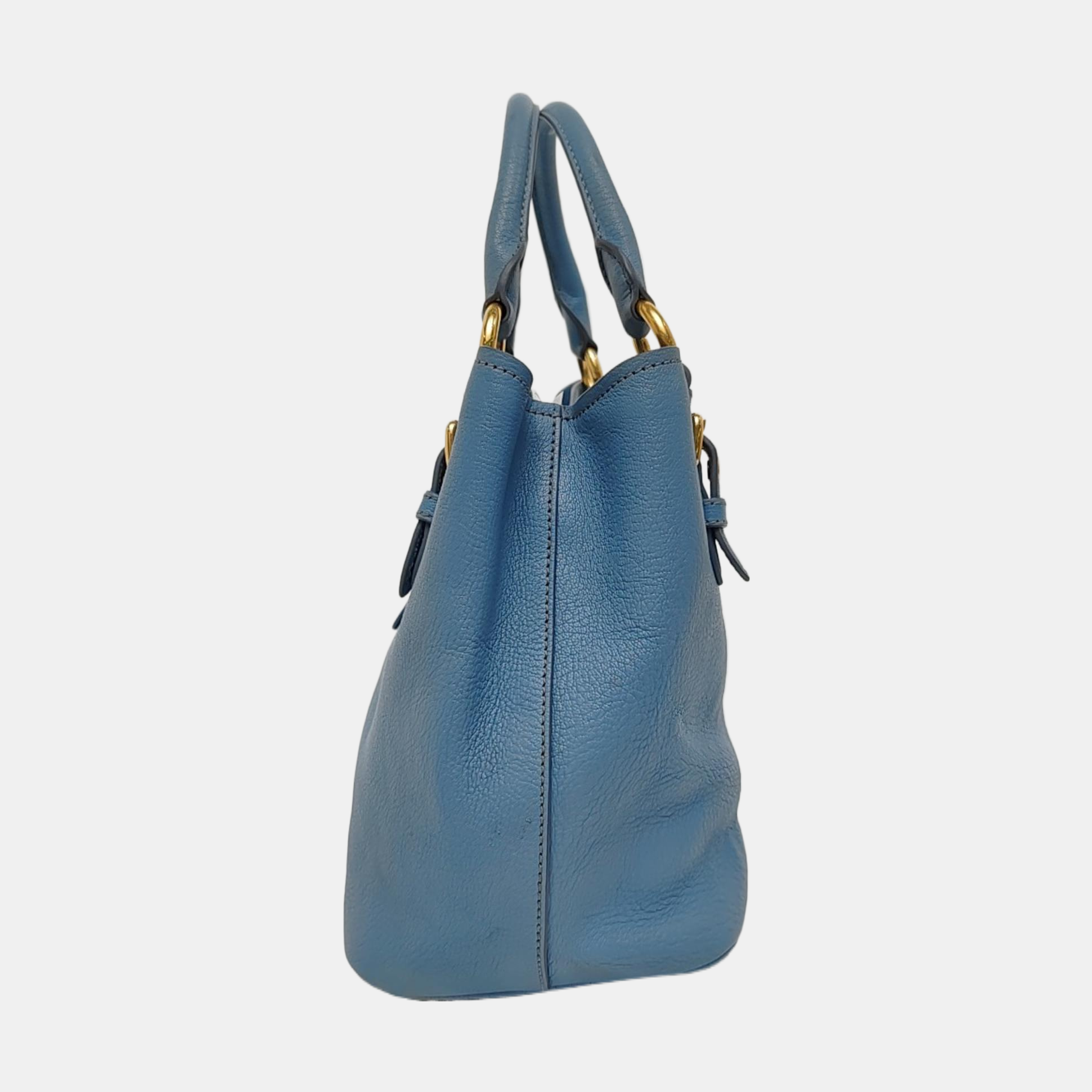 Calfskin Tote Bag Blue