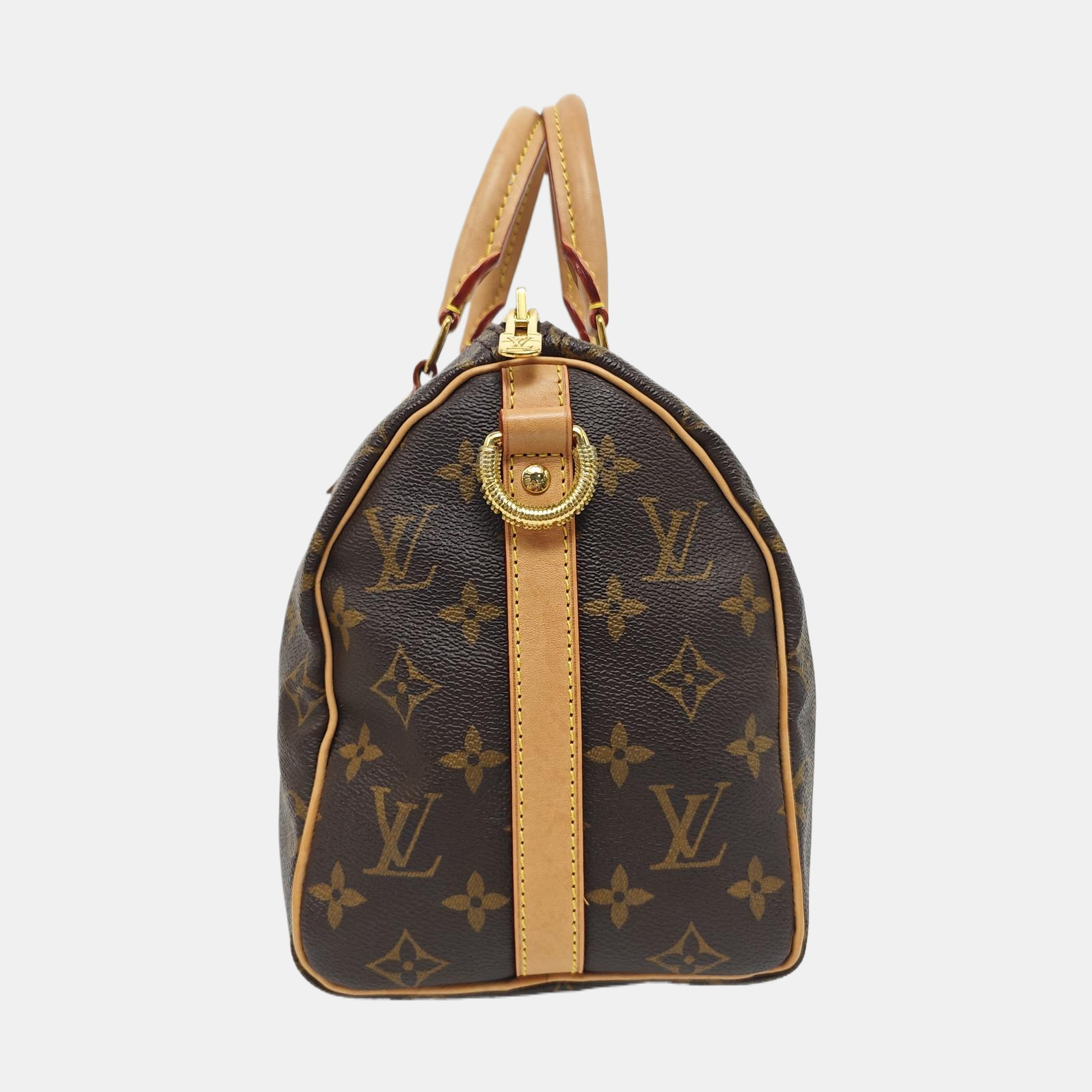 SPEEDY 25 Monogram Coated Canvas Brown