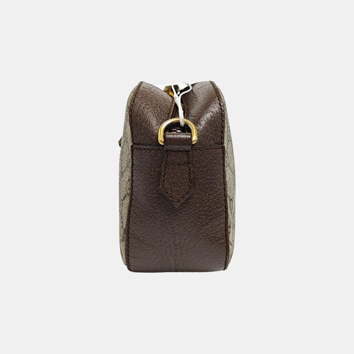 Neo Vintage Monogram Coated Canvas Beige