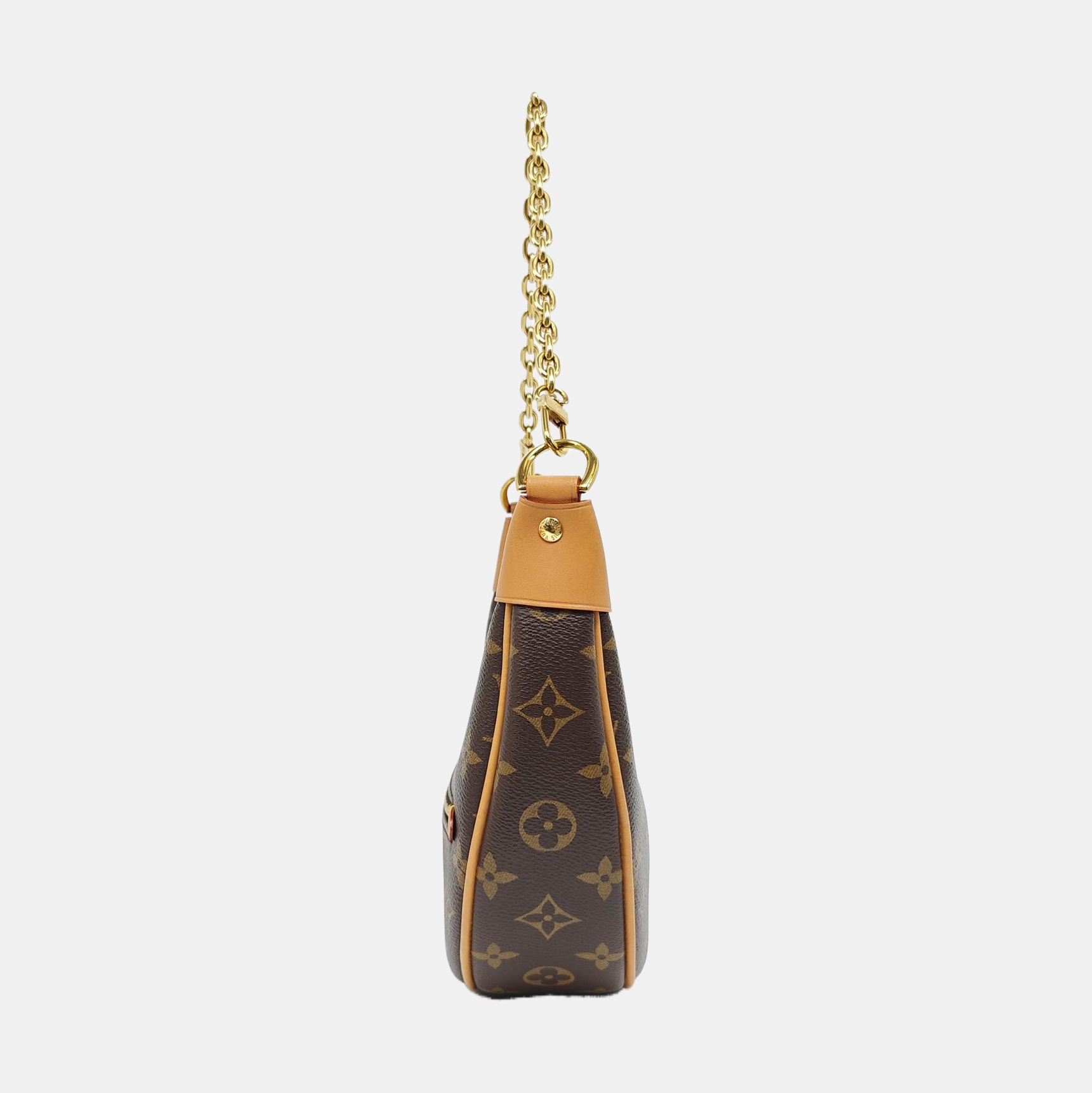 LOOP Monogram Coated Canvas Brown