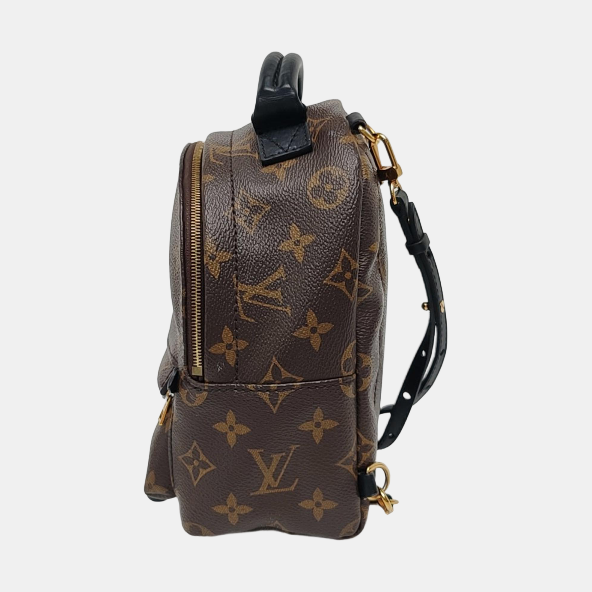PALM SPRINGS Mini Monogram Coated Canvas Brown