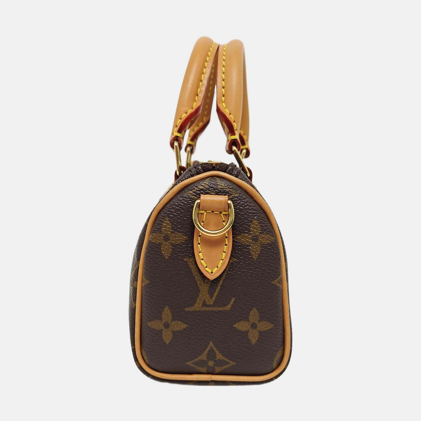 SPEEDY Nano Monogram Coated Canvas Brown