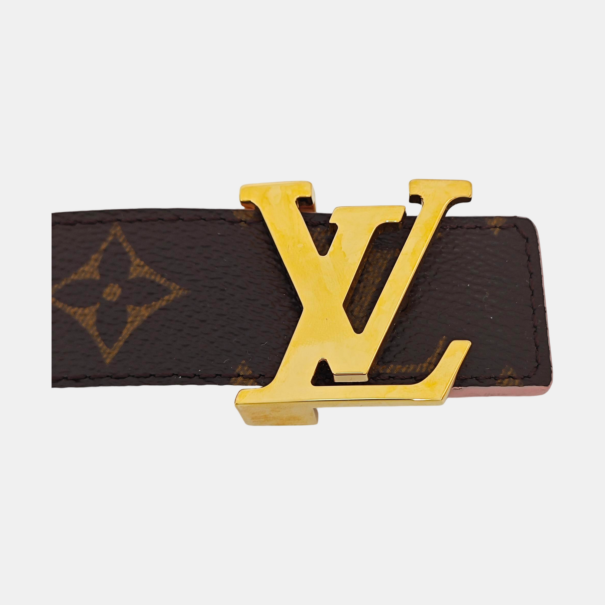 Coated Canvas Belt Brown
