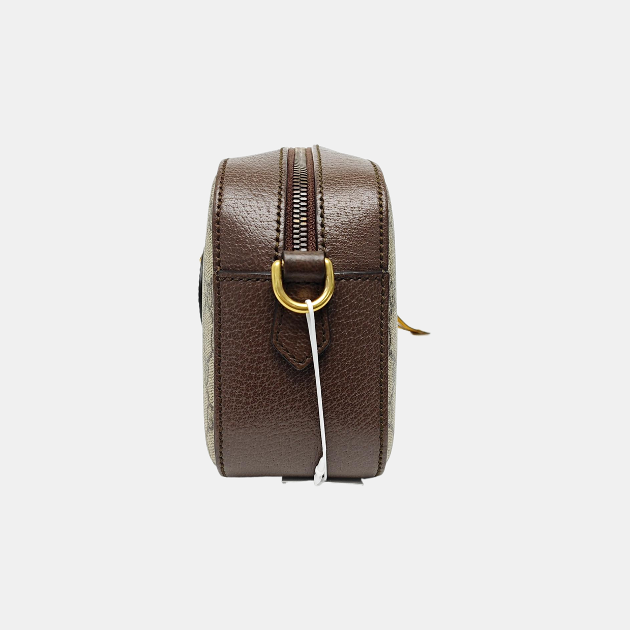 Neo Vintage Monogram Coated Canvas Beige