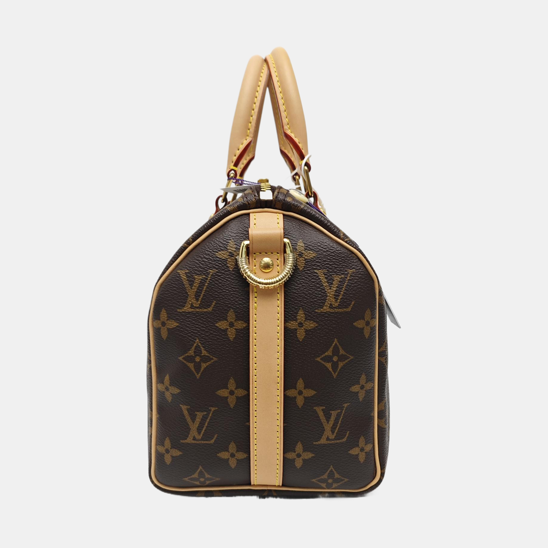 SPEEDY 25 Monogram Coated Canvas Brown