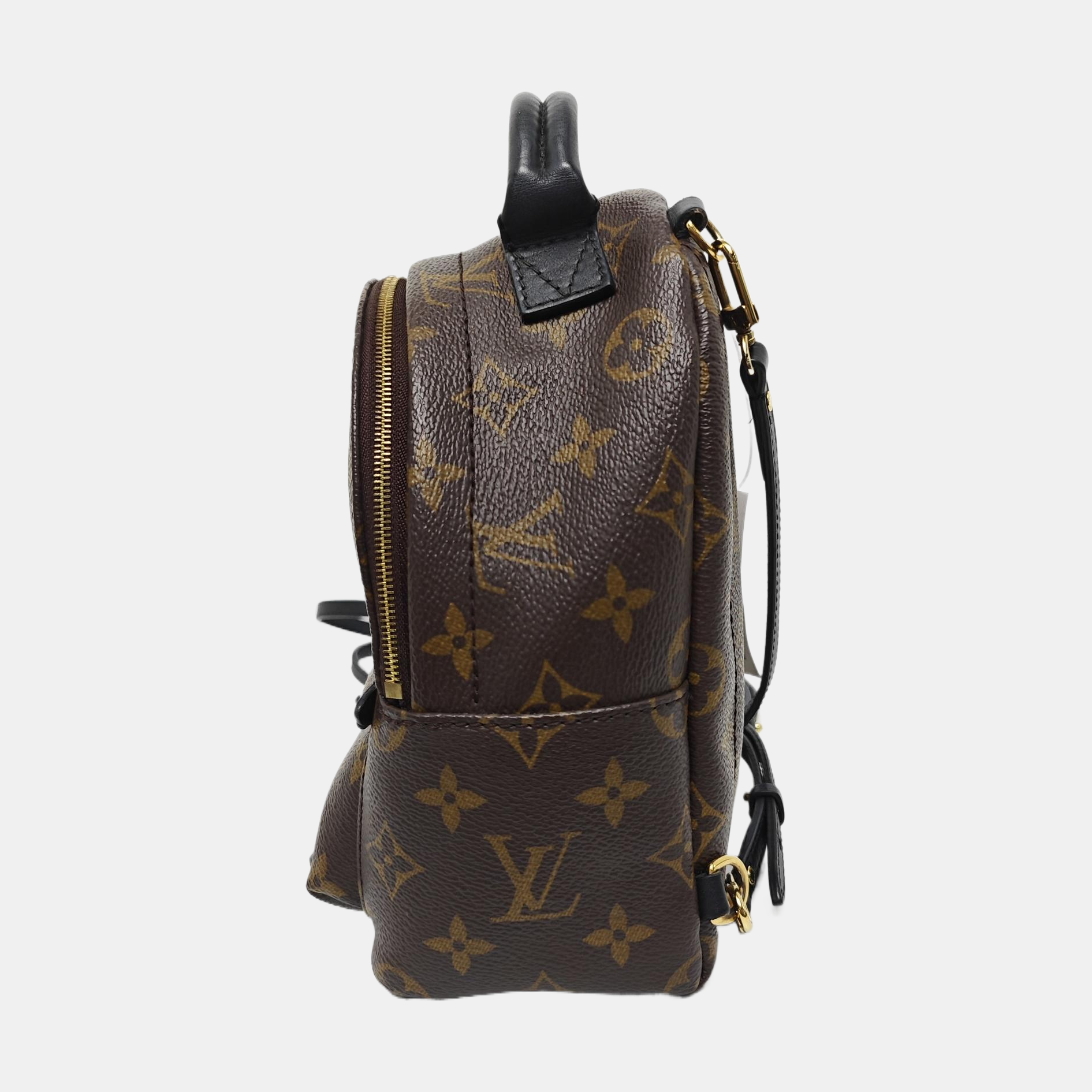 PALM SPRINGS Mini Monogram Coated Canvas Brown