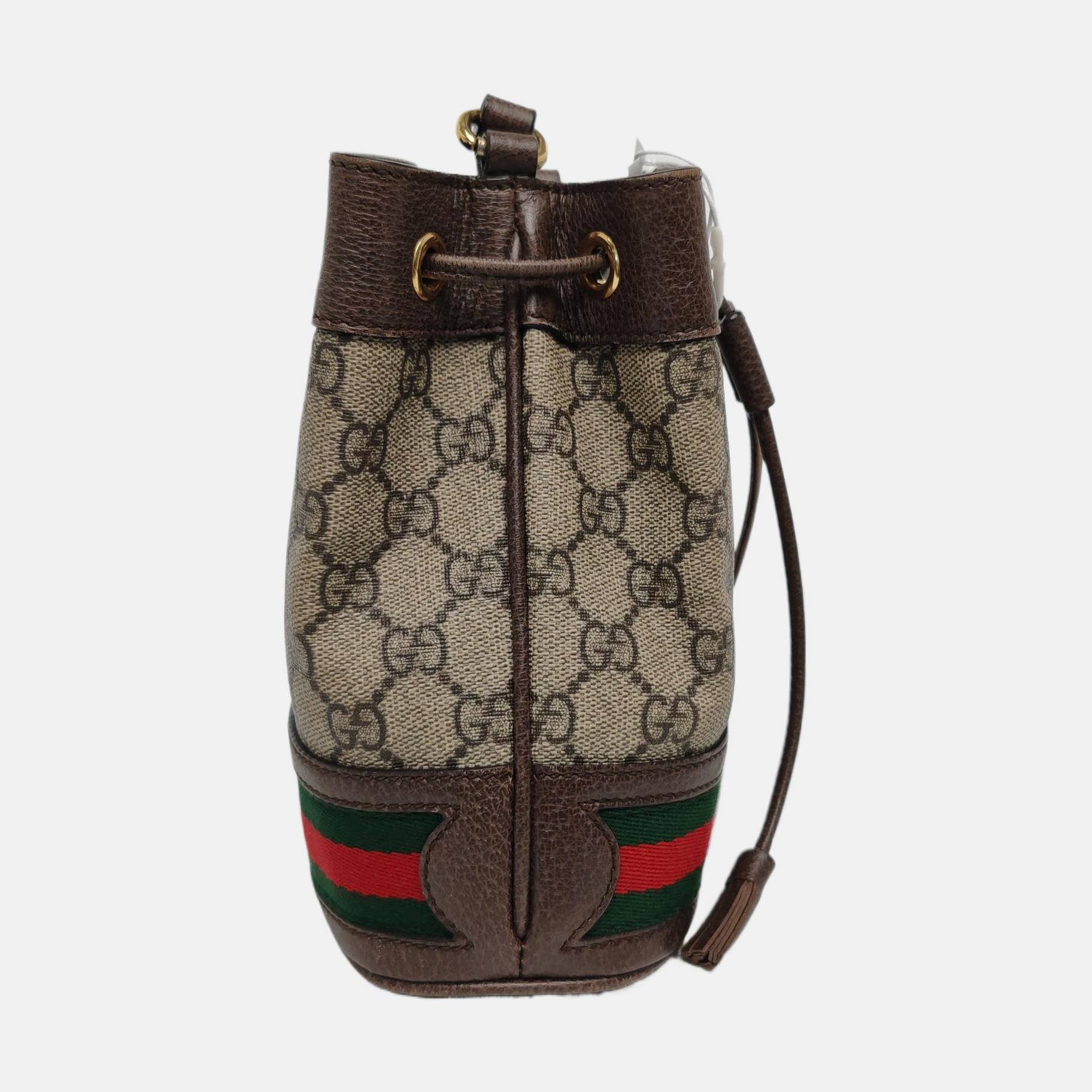 Ophidia Mini Monogram Coated Canvas Beige