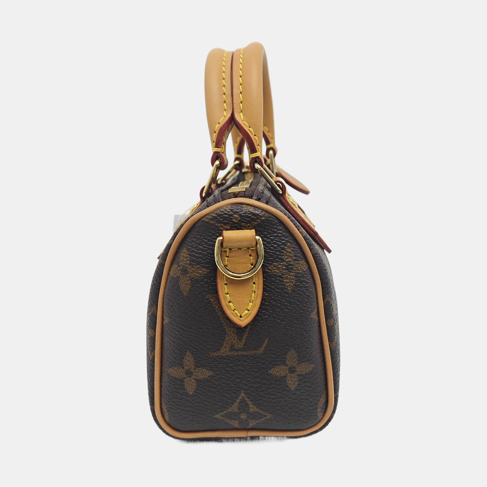 SPEEDY Nano Monogram Coated Canvas Brown