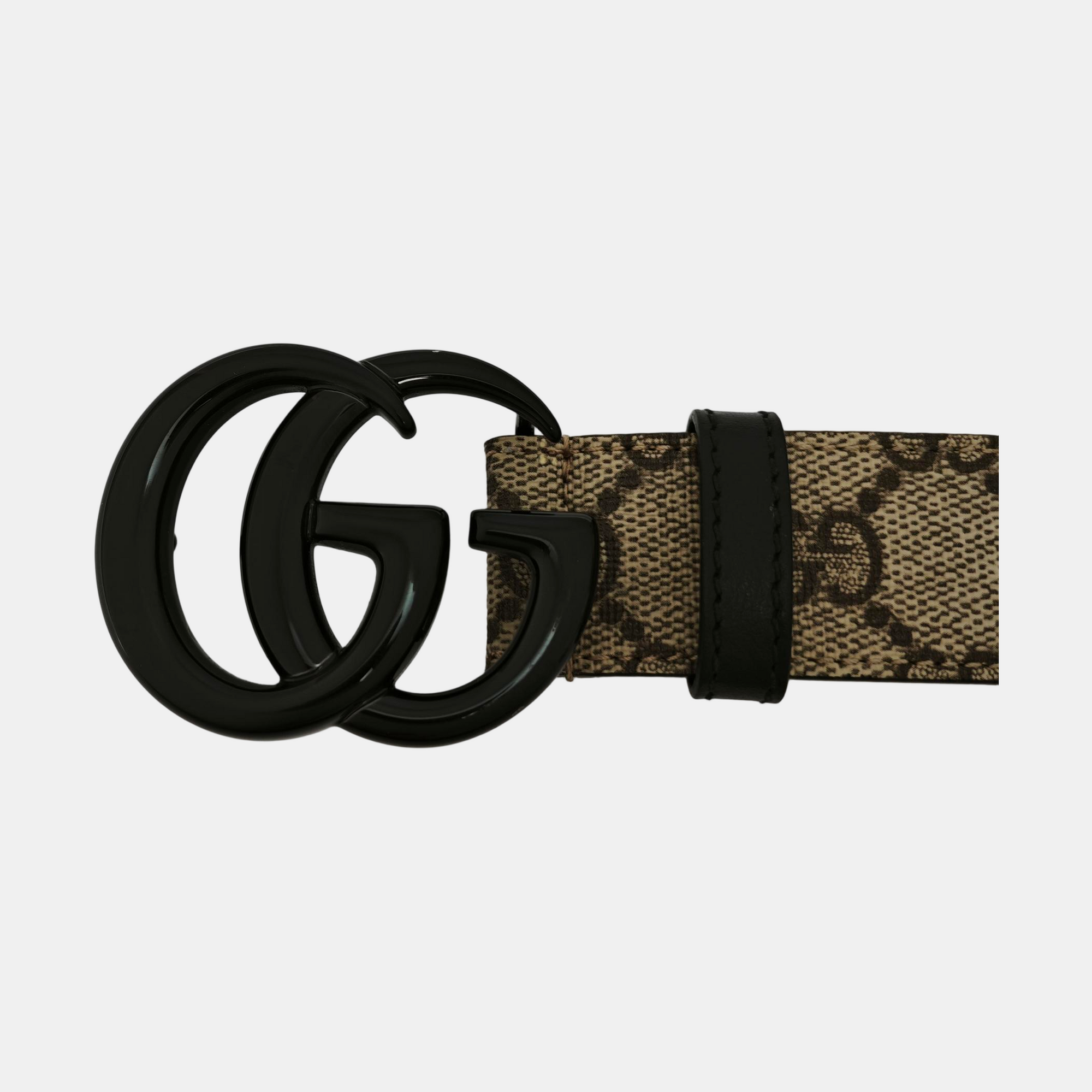 Coated Canvas Belt Beige