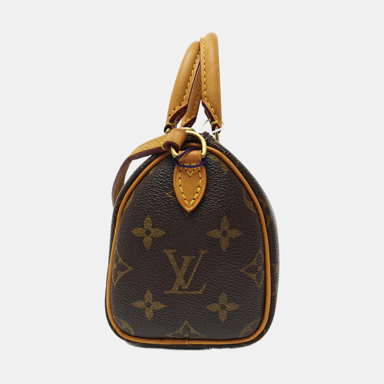 SPEEDY Nano Monogram Coated Canvas Brown