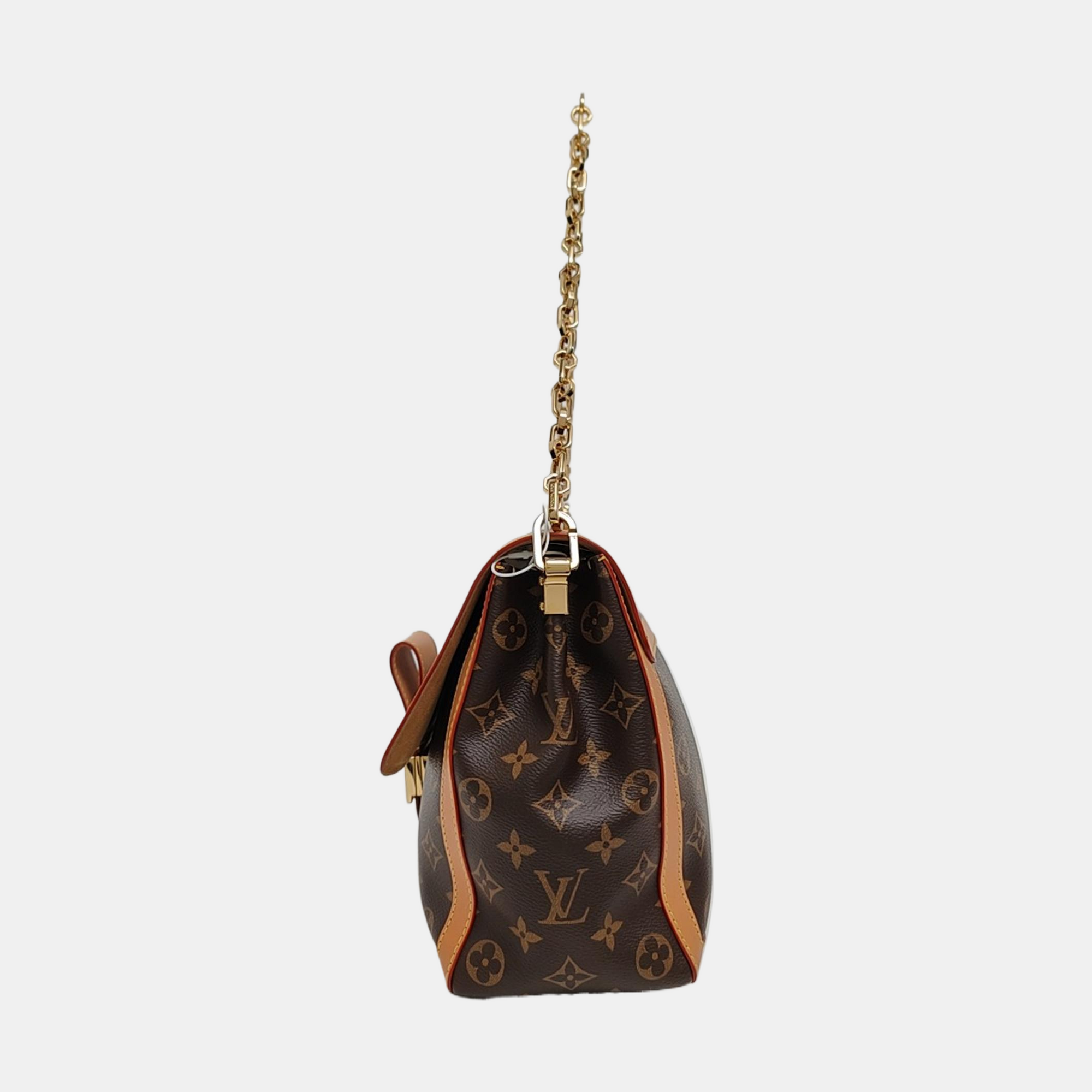 DAUPHINE GM Monogram Coated Canvas Brown