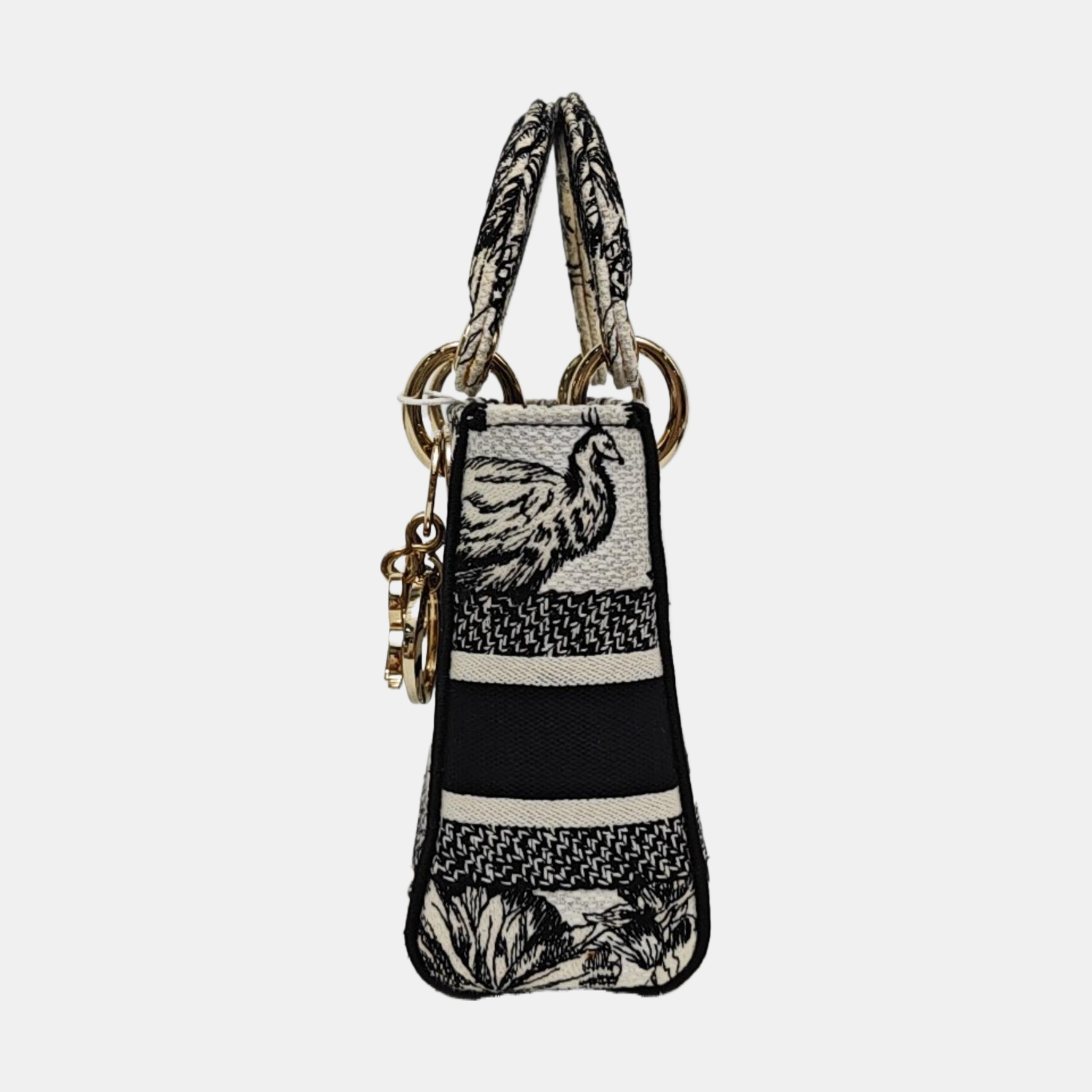 Lady Dior Mini Canvas Multicolor