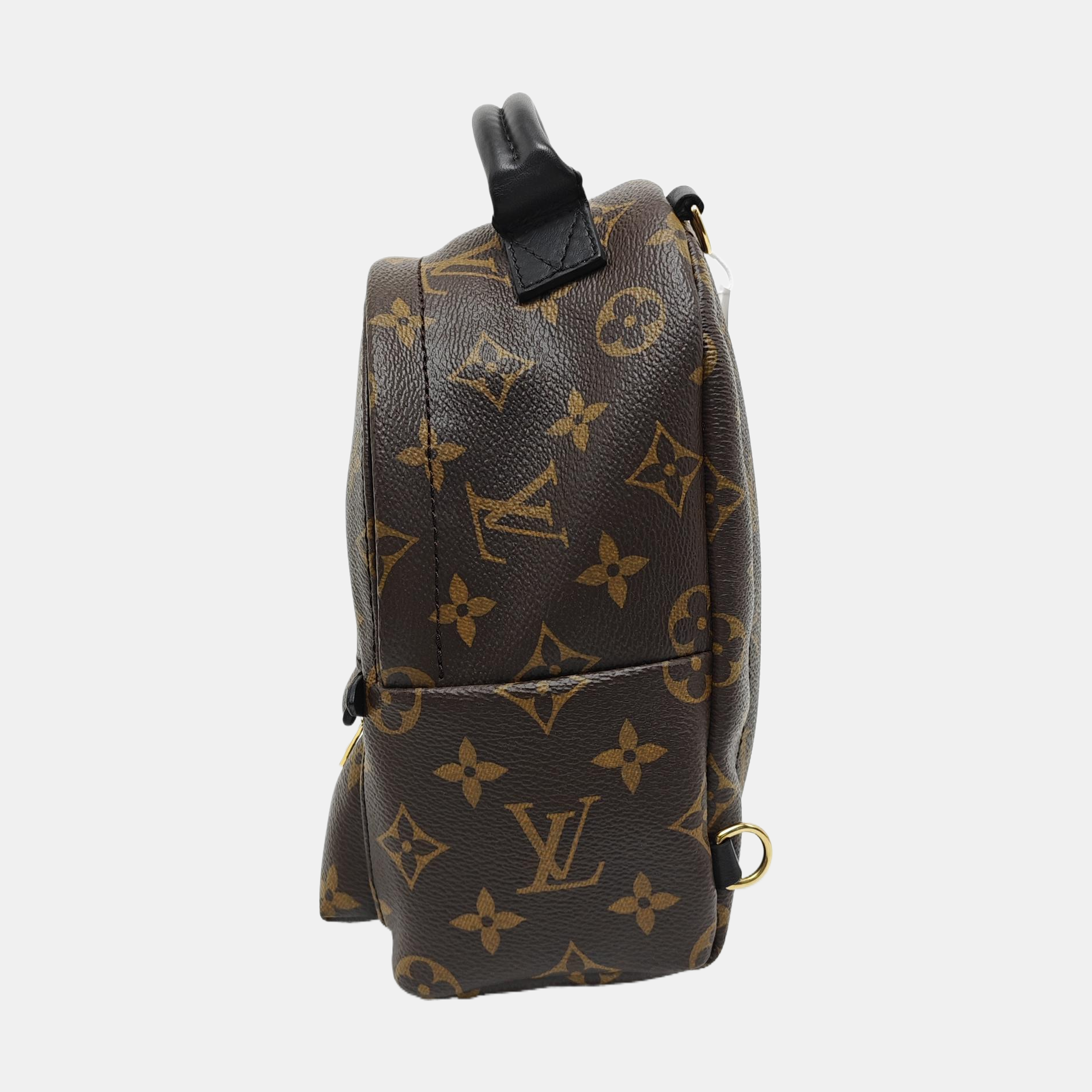 PALM SPRINGS Mini Monogram Coated Canvas Brown