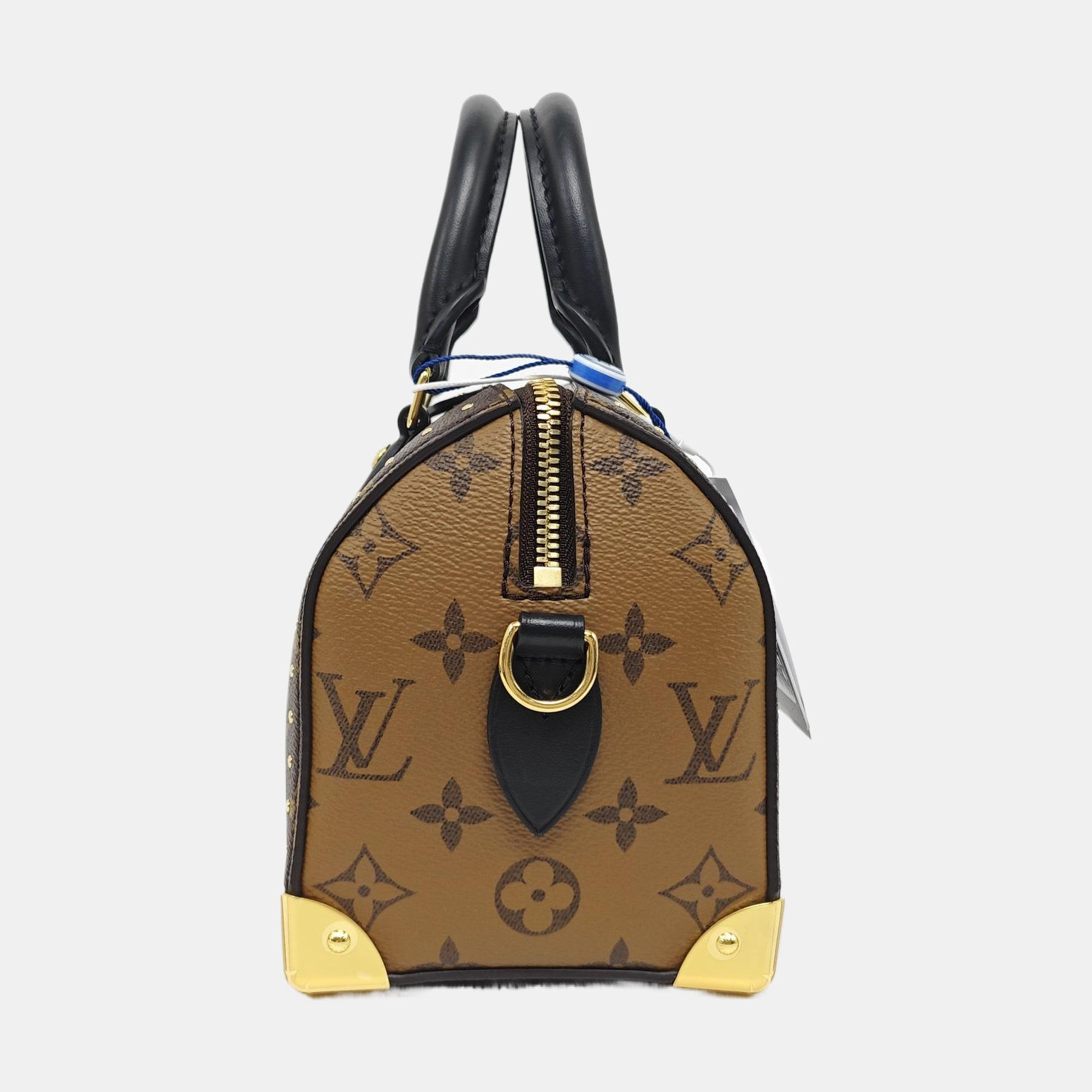 SPEEDY TRUNK 20 Monogram Coated Canvas Brown