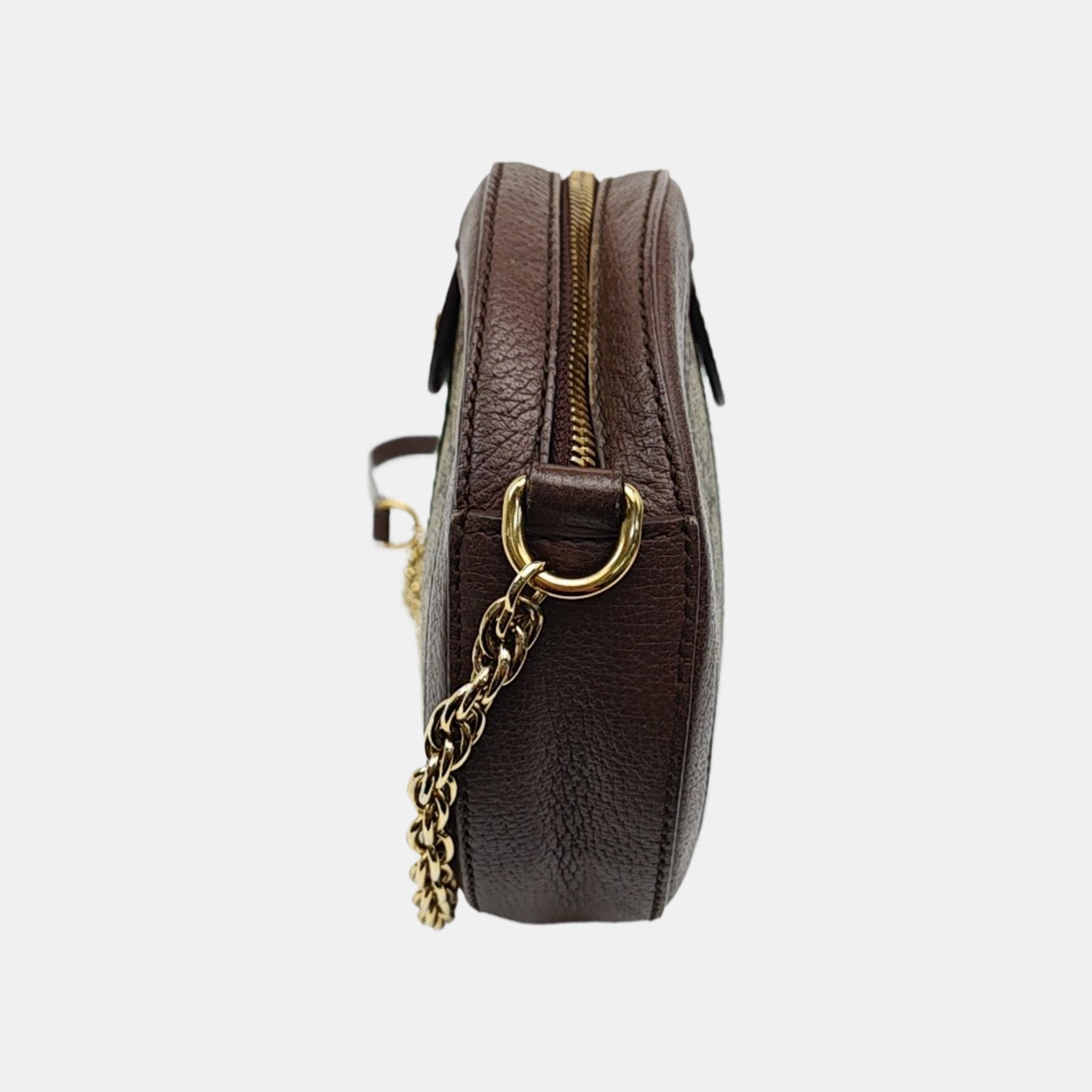 Ophidia Mini Monogram Coated Canvas Beige