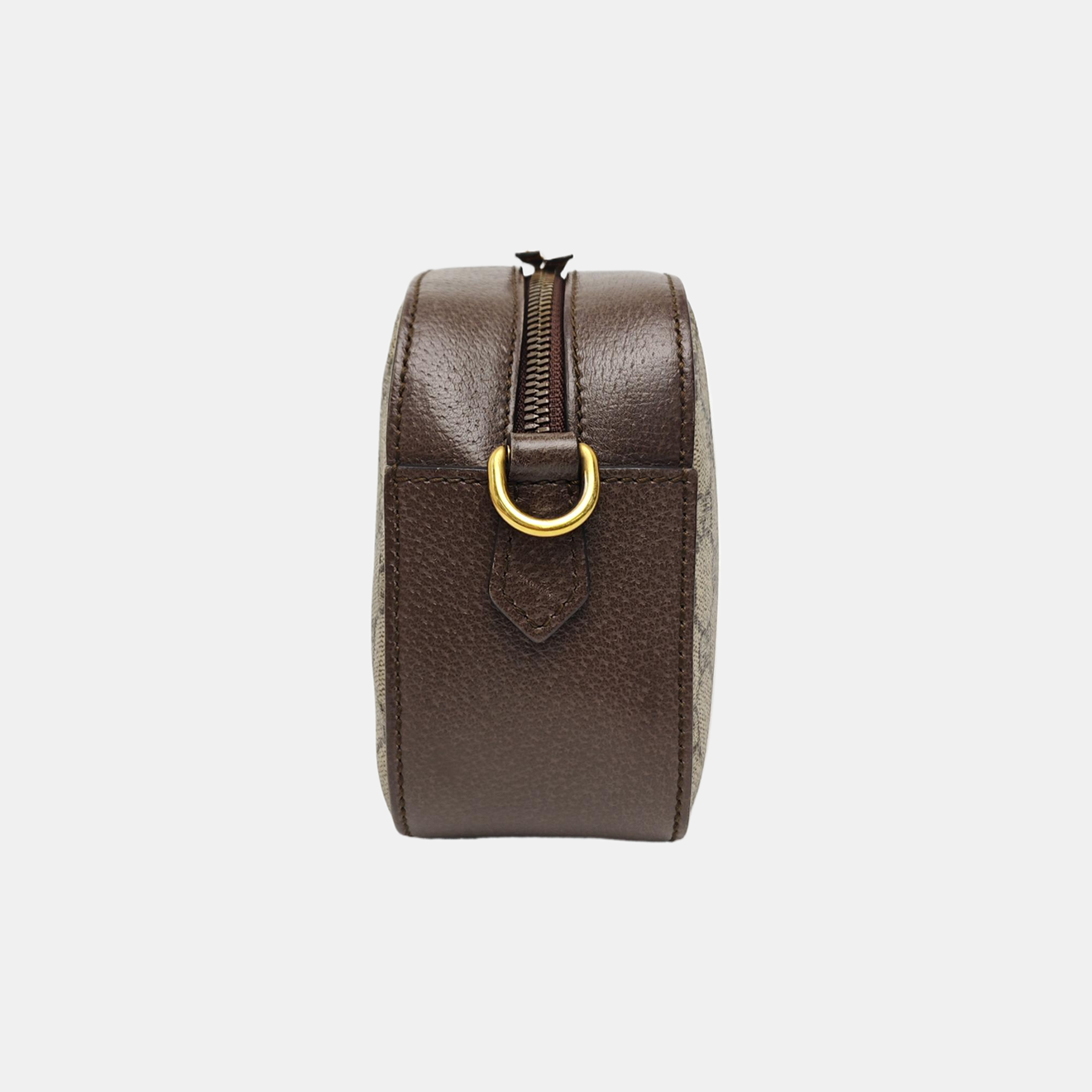 Neo Vintage Monogram Coated Canvas Beige