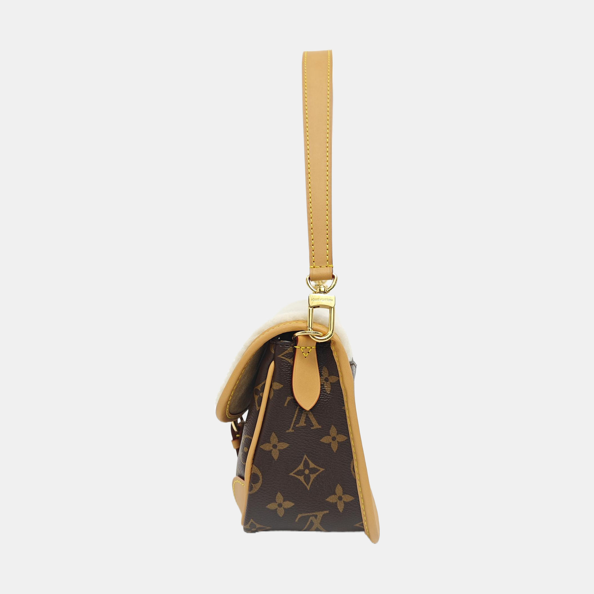 DIANE Monogram Coated Canvas Multicolor